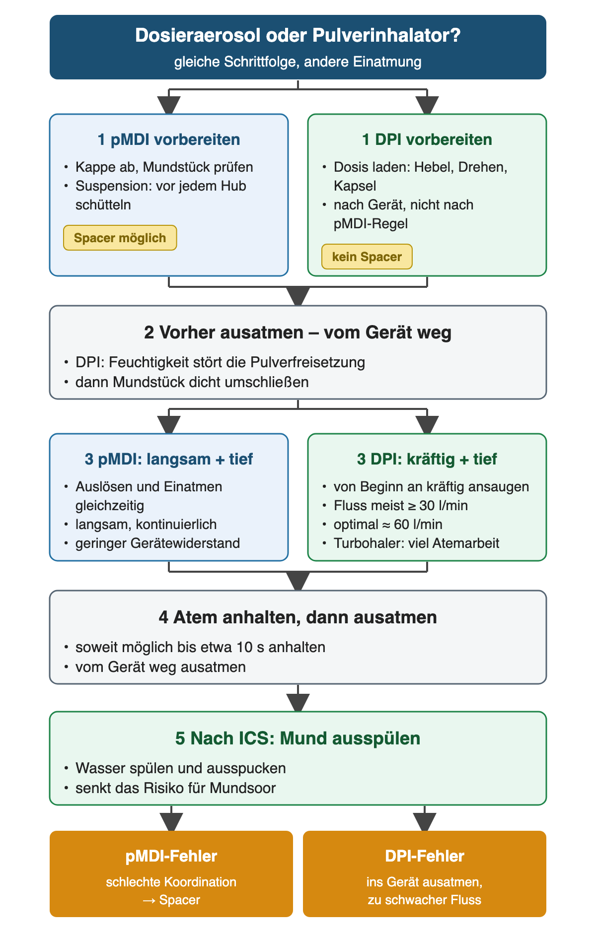 Zwei Spalten für Dosieraerosol und Pulverinhalator mit gemeinsamen Schritten: Vorbereitung (Dosieraerosol: Suspension vor jedem Hub schütteln, Spacer möglich; Pulverinhalator: Dosis gerätespezifisch laden, kein Spacer), Ausatmen vom Gerät weg, Einatmung (Dosieraerosol langsam und koordiniert; Pulverinhalator kräftig, meist mindestens 30 l/min, optimal etwa 60 l/min), Atem bis etwa 10 Sekunden anhalten und nach ICS Mund ausspülen. Unten typische Fehler beider Gerätetypen.