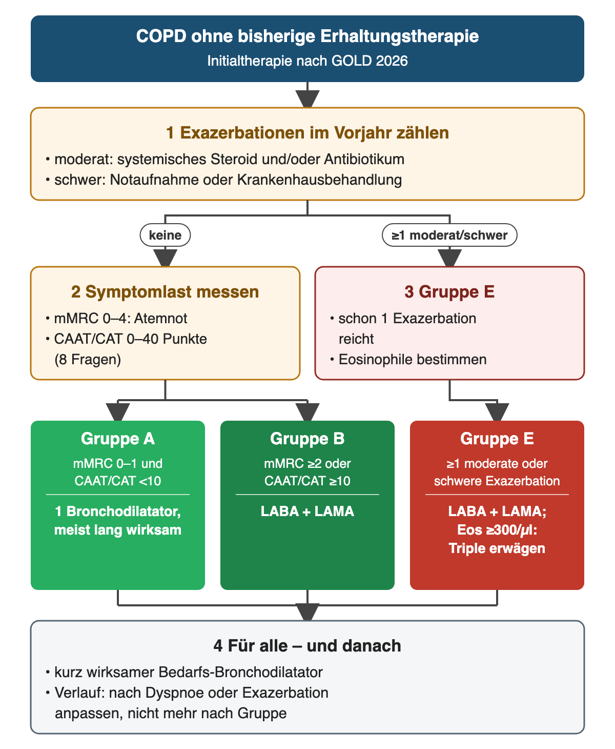 COPD ohne bisherige Erhaltungstherapie: Zuerst werden die Exazerbationen im Vorjahr gezählt, moderat mit systemischem Steroid und/oder Antibiotikum, schwer mit Notaufnahme oder Krankenhaus. Ohne solche Exazerbation wird die Symptomlast mit mMRC 0 bis 4 und CAAT/CAT 0 bis 40 gemessen: Gruppe A bei mMRC 0 bis 1 und CAAT unter 10 mit einem meist lang wirksamen Bronchodilatator, Gruppe B bei mMRC ab 2 oder CAAT ab 10 mit LABA plus LAMA. Ab einer moderaten oder schweren Exazerbation Gruppe E mit LABA plus LAMA, bei Eosinophilen ab 300 pro Mikroliter Tripletherapie erwägen. Unten: Bedarfs-Bronchodilatator für alle, im Verlauf Anpassung nach Dyspnoe oder Exazerbation statt nach Gruppe.