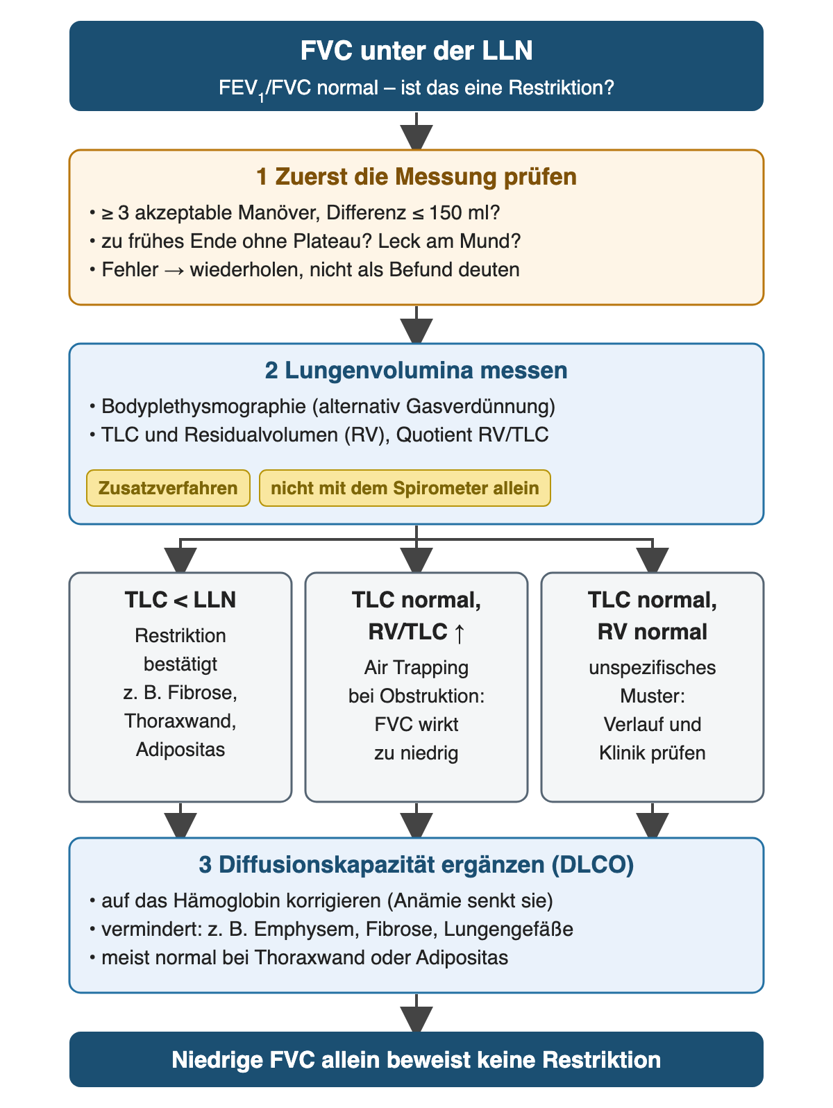 Bei FVC unter der LLN und normalem FEV₁/FVC wird zuerst die Messung geprüft. Danach werden mit Bodyplethysmographie TLC, Residualvolumen und RV/TLC gemessen. Drei Äste: TLC unter der LLN bestätigt eine Restriktion, etwa bei Fibrose, Thoraxwand oder Adipositas; normale TLC mit erhöhtem RV/TLC spricht für Air Trapping bei Obstruktion; normale TLC und normales RV ergeben ein unspezifisches Muster. Die Diffusionskapazität wird auf das Hämoglobin korrigiert und ist etwa bei Emphysem oder Fibrose vermindert. Fazit: Niedrige FVC allein beweist keine Restriktion.