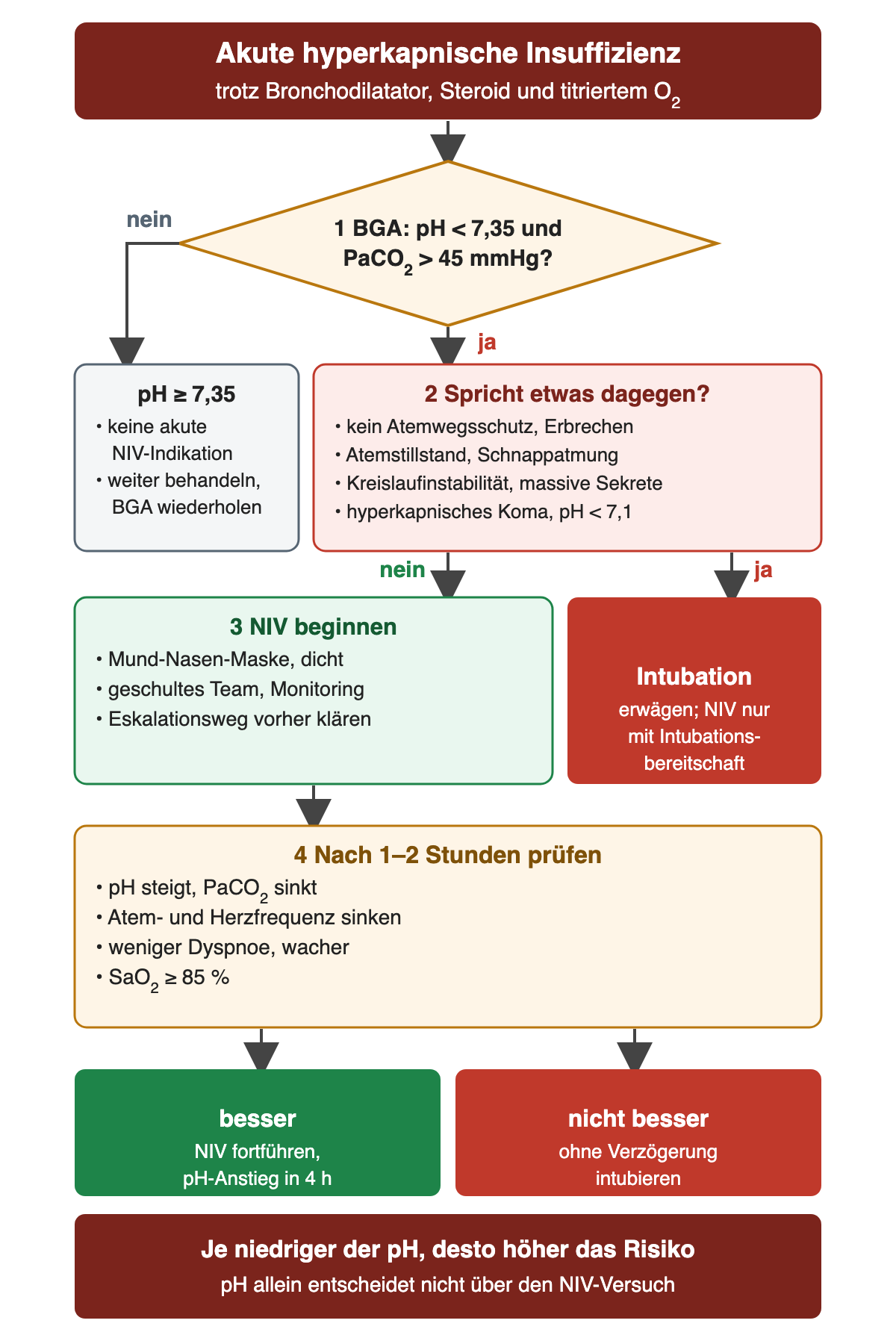 Start dunkelrot: akute hyperkapnische Insuffizienz trotz Bronchodilatator, Steroid und titriertem O₂. Raute 1: Blutgasanalyse mit pH unter 7,35 und PaCO₂ über 45 mmHg? Nein – pH ab 7,35: keine akute NIV-Indikation, weiter behandeln, Blutgase wiederholen. Ja – 2 rot: spricht etwas dagegen? Kein Atemwegsschutz oder Erbrechen, Atemstillstand oder Schnappatmung, Kreislaufinstabilität oder massive Sekrete, hyperkapnisches Koma oder pH unter 7,1. Wenn ja: Intubation erwägen, NIV nur mit Intubationsbereitschaft. Wenn nein: 3 grün NIV beginnen – dichte Mund-Nasen-Maske, geschultes Team und Monitoring, Eskalationsweg vorher klären. 4 gelb: nach 1 bis 2 Stunden prüfen – pH steigt und PaCO₂ sinkt, Atem- und Herzfrequenz sinken, weniger Dyspnoe und wacher, SaO₂ mindestens 85 Prozent. Ergebnis: besser – NIV fortführen, pH-Anstieg innerhalb von 4 Stunden; nicht besser – ohne Verzögerung intubieren. Dunkelrote Zeile: je niedriger der pH, desto höher das Risiko; der pH allein entscheidet nicht über den NIV-Versuch.