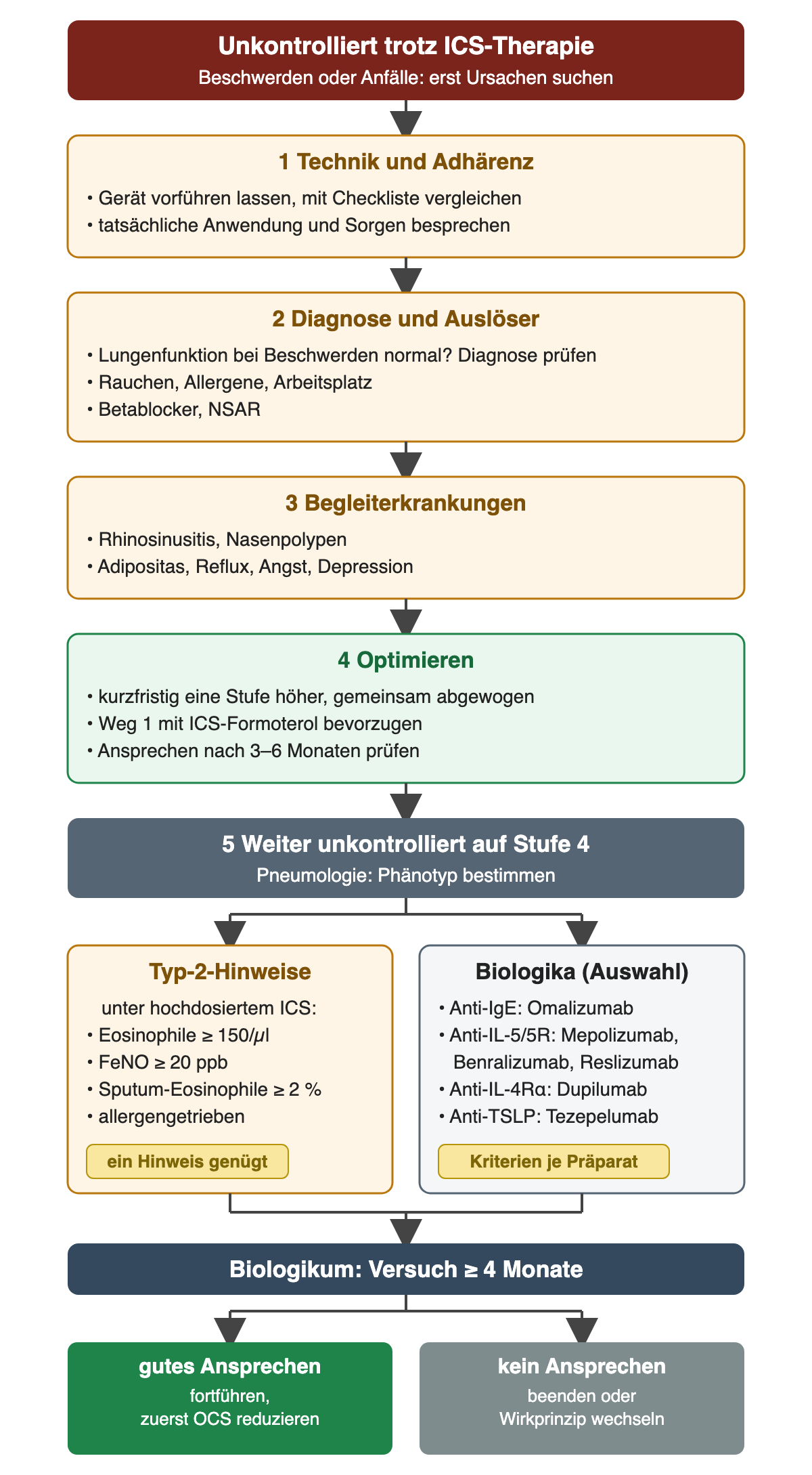 Ablauf von oben nach unten bei Asthma, das trotz ICS-Therapie unkontrolliert ist. 1 Technik und Adhärenz: Gerät vorführen lassen und mit Checkliste vergleichen, tatsächliche Anwendung und Sorgen besprechen. 2 Diagnose und Auslöser: normale Lungenfunktion bei Beschwerden lässt die Diagnose prüfen, Rauchen, Allergene, Arbeitsplatz, Betablocker, NSAR. 3 Begleiterkrankungen: Rhinosinusitis, Nasenpolypen, Adipositas, Reflux, Angst, Depression. 4 Optimieren: kurzfristig eine Stufe höher nach gemeinsamer Abwägung, Weg 1 mit ICS-Formoterol bevorzugen, Ansprechen nach 3–6 Monaten prüfen. 5 Weiter unkontrolliert auf Stufe 4: Pneumologie bestimmt den Phänotyp. Links Typ-2-Hinweise unter hochdosiertem ICS: Eosinophile mindestens 150 pro Mikroliter, FeNO mindestens 20 ppb, Sputum-Eosinophile mindestens 2 Prozent, allergengetrieben; ein Hinweis genügt. Rechts Biologika als Auswahl: Anti-IgE Omalizumab, Anti-IL-5 oder IL-5-Rezeptor Mepolizumab, Benralizumab, Reslizumab, Anti-IL-4-Rezeptor-alpha Dupilumab, Anti-TSLP Tezepelumab; Kriterien je Präparat. Darunter Biologikum-Versuch mindestens 4 Monate, dann bei gutem Ansprechen fortführen und zuerst orale Steroide reduzieren, bei fehlendem Ansprechen beenden oder Wirkprinzip wechseln.