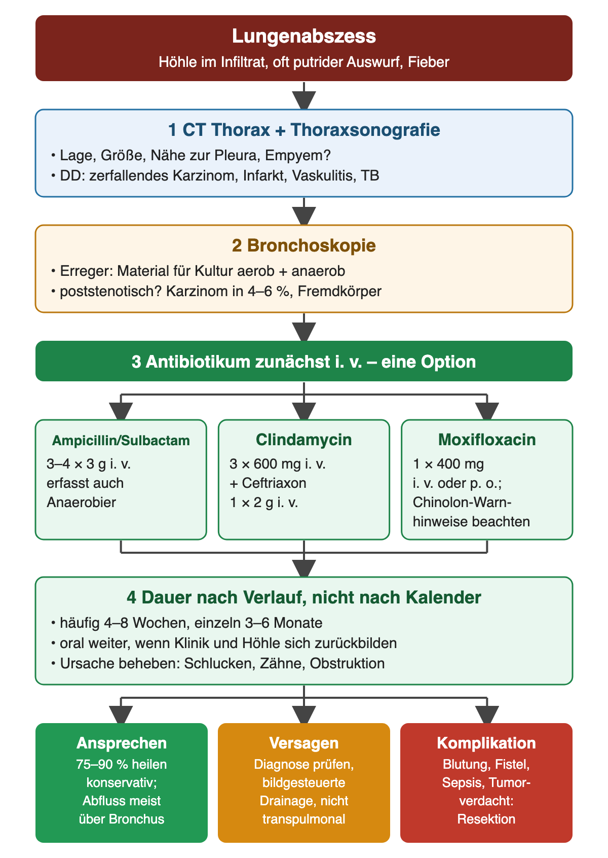 Beim Lungenabszess klären CT und Sonografie Lage und Differenzialdiagnose, die Bronchoskopie Erreger und Obstruktion. Danach folgt eine von drei intravenösen Antibiotika-Optionen mit Dosis; die Dauer richtet sich nach dem Verlauf, häufig 4–8 Wochen. Ergebnis: konservative Heilung in 75–90 %, bildgesteuerte Drainage bei Versagen, Resektion bei Komplikationen.
