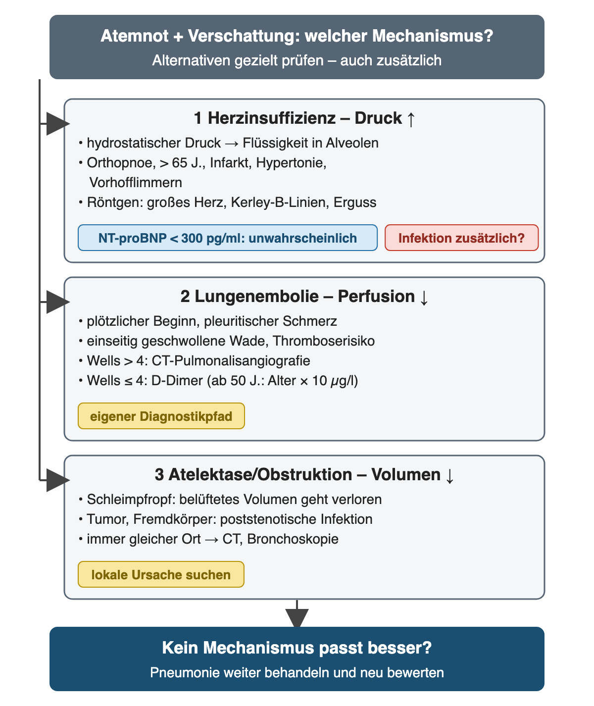 Diagramm mit drei alternativen Mechanismen: Herzinsuffizienz mit erhöhtem Druck, Hinweisen, Röntgenzeichen und NT-proBNP-Grenze; Lungenembolie mit Wells-Score, CT-Angiografie und altersadaptiertem D-Dimer; Atelektase oder Obstruktion mit lokaler Ursache; passt kein Mechanismus besser, Pneumonie weiter behandeln.