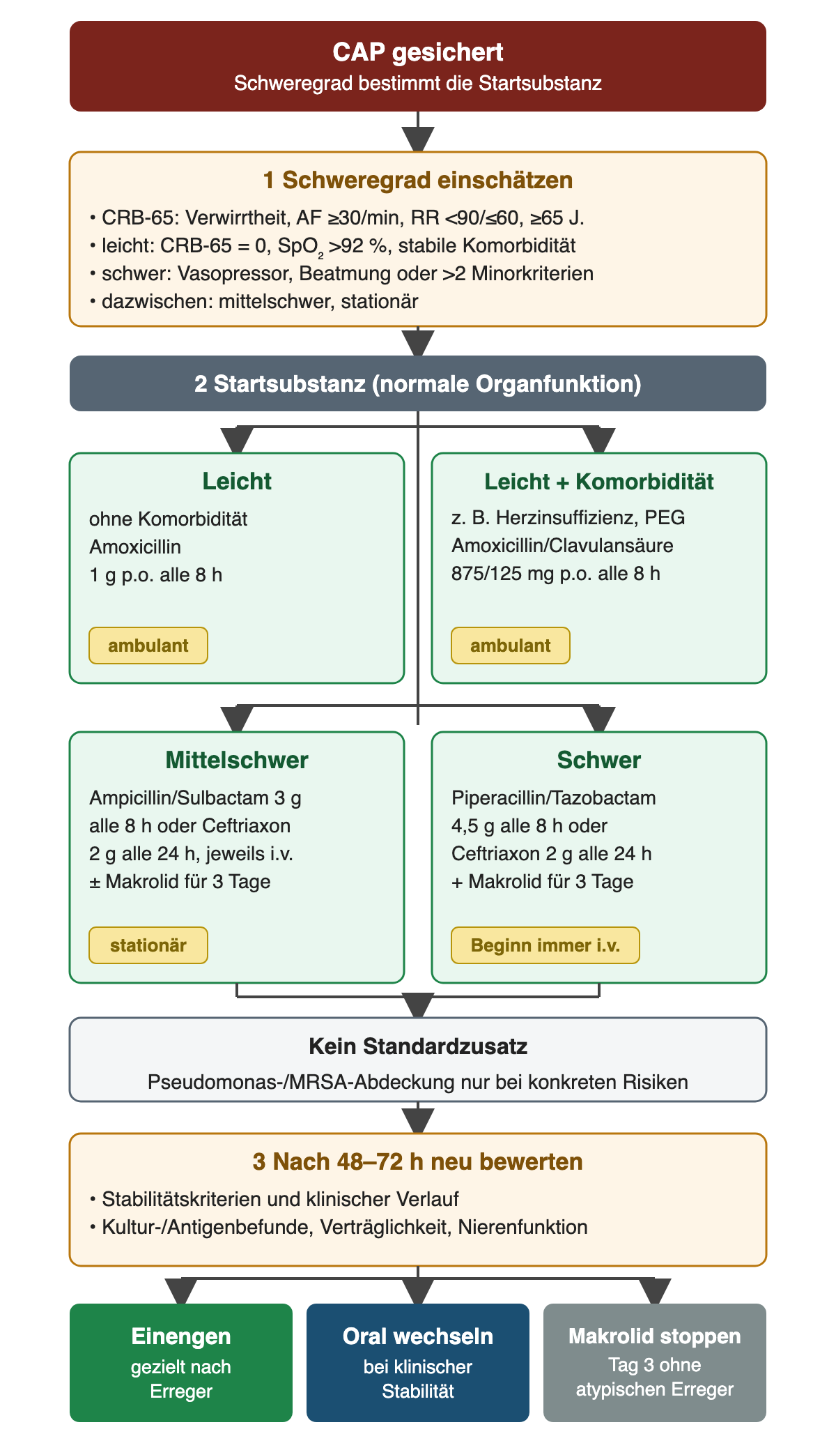 Ablauf von der gesicherten CAP über die Schweregradeinschätzung mit CRB-65, SpO₂ und Komorbidität zur Startsubstanz: leicht Amoxicillin 1 g p.o. alle 8 h, leicht mit Komorbidität Amoxicillin/Clavulansäure 875/125 mg p.o. alle 8 h, mittelschwer Ampicillin/Sulbactam 3 g alle 8 h oder Ceftriaxon 2 g alle 24 h i.v. mit optionalem Makrolid für 3 Tage, schwer Piperacillin/Tazobactam 4,5 g alle 8 h oder Ceftriaxon 2 g alle 24 h plus Makrolid für 3 Tage. Pseudomonas- und MRSA-Abdeckung nur bei konkreten Risiken. Nach 48–72 h Neubewertung mit drei Ergebnissen: einengen, oral wechseln, Makrolid an Tag 3 ohne atypischen Erreger stoppen.