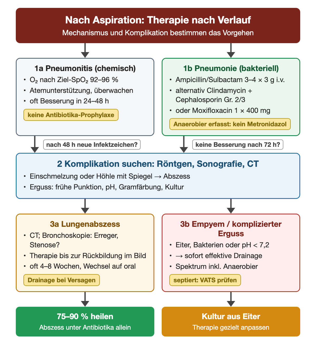 Ablaufdiagramm zur Therapie nach Aspiration: Pneumonitis mit Sauerstoff, Atemunterstützung und Beobachtung ohne Antibiotikaprophylaxe; bakterielle Aspirationspneumonie mit Ampicillin/Sulbactam 3–4 × 3 g i.v., alternativ Clindamycin plus Cephalosporin oder Moxifloxacin, ohne zusätzliches Metronidazol. Bei neuen Infektzeichen nach 48 Stunden oder fehlender Besserung nach 72 Stunden Komplikationen mit Röntgen, Sonografie und CT suchen. Lungenabszess: Bronchoskopie, Therapie bis zur Rückbildung, oft 4–8 Wochen, Drainage bei Versagen; 75–90 % heilen unter Antibiotika. Empyem oder komplizierter Erguss mit Eiter, Bakterien oder pH unter 7,2: sofortige Drainage, Therapie nach Kultur anpassen.