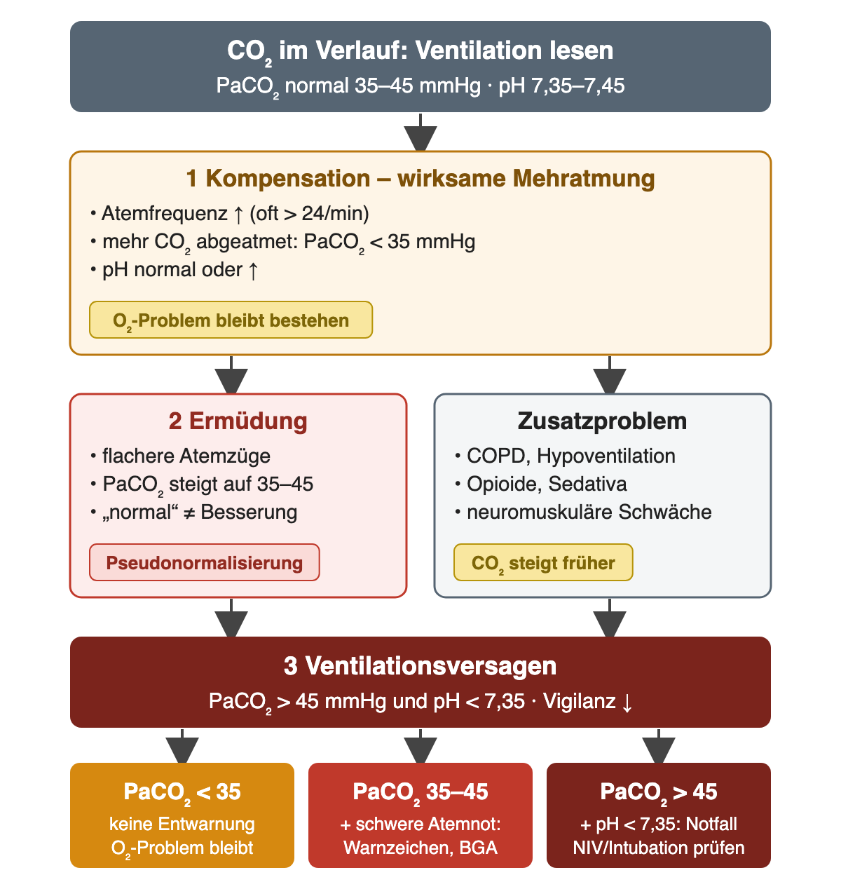 Verlaufsdiagramm: Kompensation mit PaCO₂ unter 35 mmHg, Ermüdung mit Rückkehr in den Normbereich oder zusätzliches Ventilationsproblem, dann Ventilationsversagen mit PaCO₂ über 45 mmHg und pH unter 7,35.