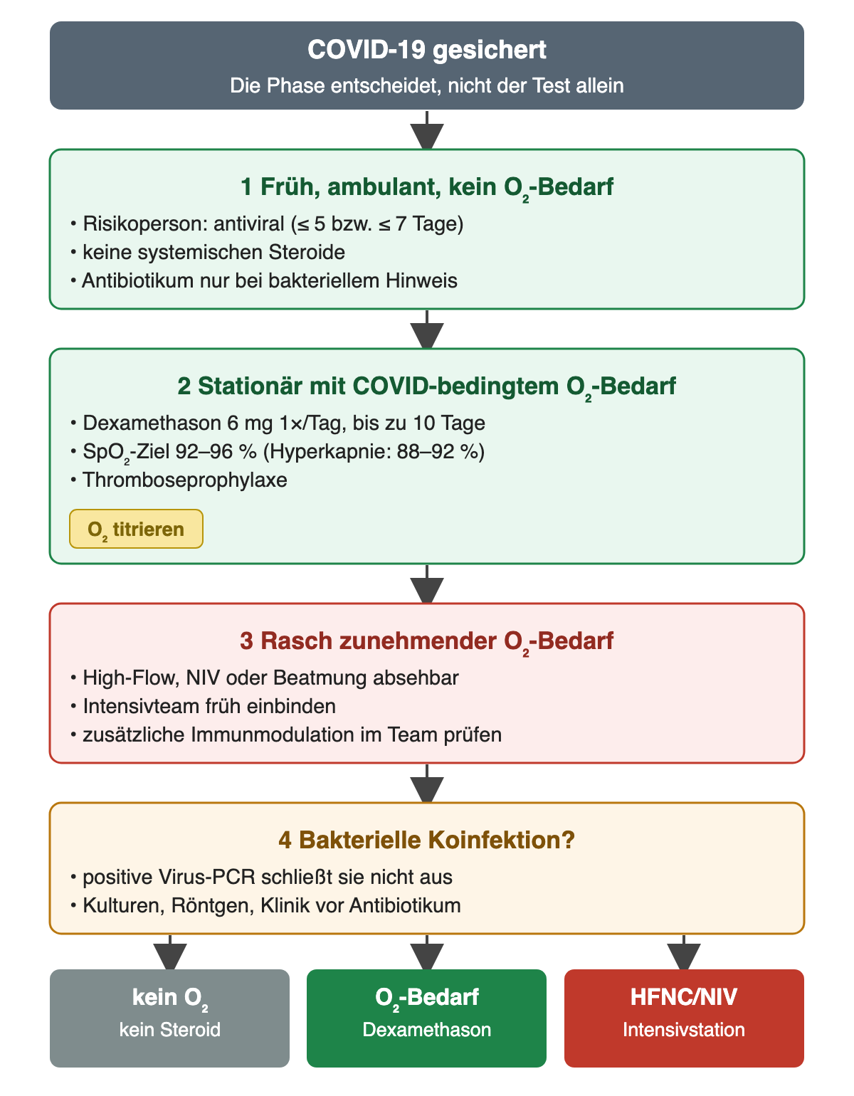 COVID-19 in vier Schritten: früh und ambulant ohne Sauerstoffbedarf bei Risiko antiviral innerhalb von 5 beziehungsweise 7 Tagen, keine systemischen Steroide, Antibiotikum nur bei bakteriellem Hinweis; stationär mit COVID-bedingtem Sauerstoffbedarf Dexamethason 6 mg einmal täglich bis zu 10 Tage, SpO₂-Ziel 92 bis 96 Prozent oder bei Hyperkapnie 88 bis 92 Prozent und Thromboseprophylaxe; bei rasch zunehmendem Sauerstoffbedarf High-Flow, NIV oder Beatmung absehbar, Intensivteam früh, zusätzliche Immunmodulation prüfen; bakterielle Koinfektion mit Kulturen, Röntgen und Klinik prüfen. Ergebnis: ohne Sauerstoff kein Steroid, mit Sauerstoffbedarf Dexamethason, bei High-Flow oder NIV Intensivstation.