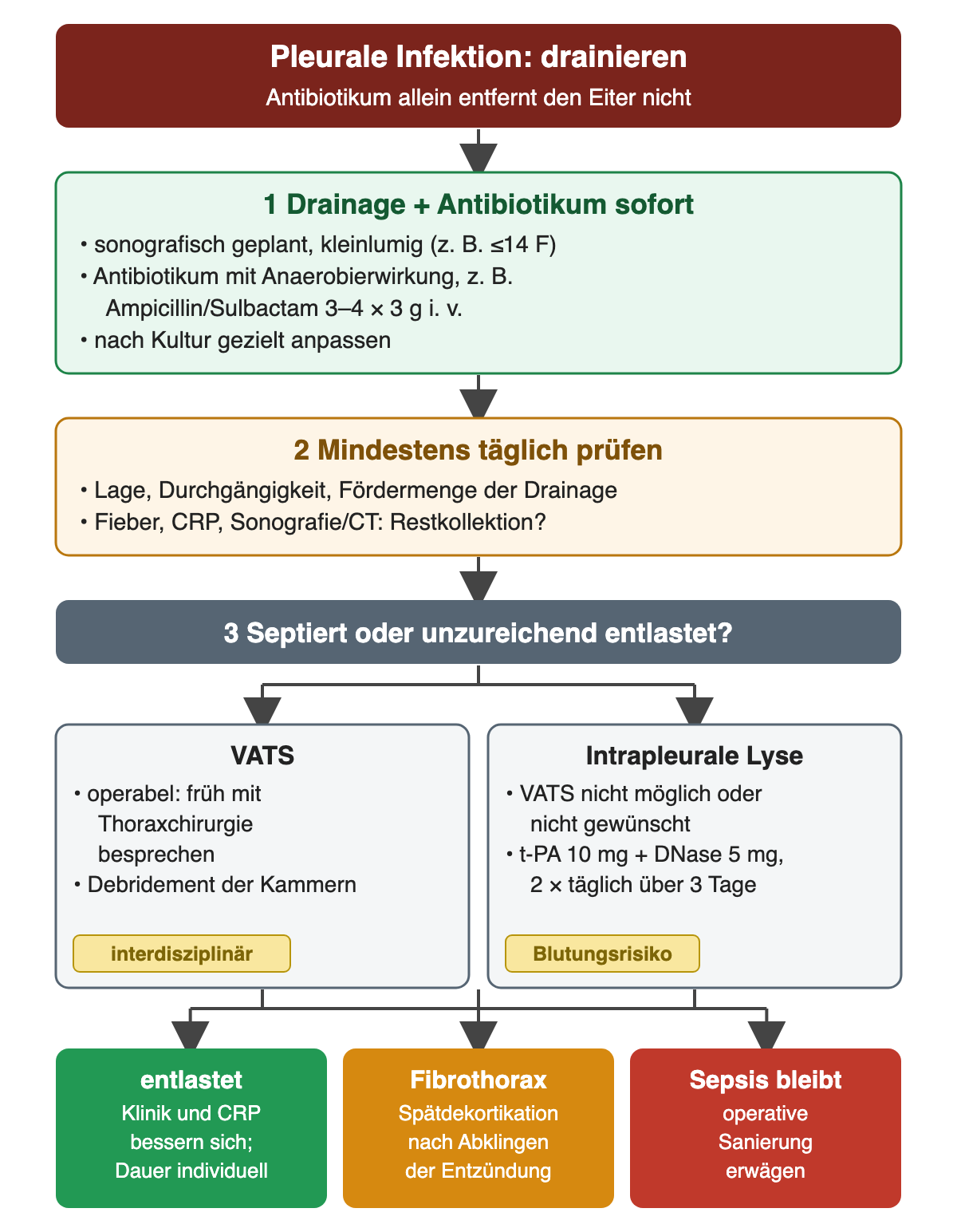 Pleurale Infektion: sofort Drainage und Antibiotikum mit Anaerobierwirkung, danach tägliche Kontrolle von Drainage, Fieber, CRP und Restkollektion. Bei septiertem Erguss oder unzureichender Entlastung VATS oder intrapleurale Lyse mit t-PA 10 mg und DNase 5 mg zweimal täglich über 3 Tage. Ergebnis: Entlastung, Spätdekortikation bei Fibrothorax oder operative Sanierung bei fortbestehender Sepsis.