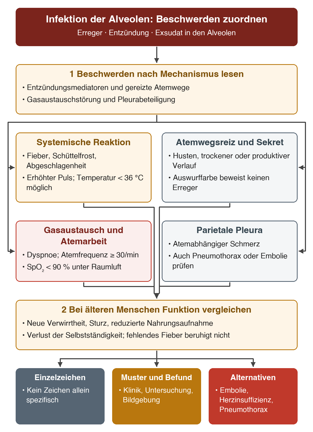 Von der alveolären Infektion gehen vier parallele Beschwerdewege aus: systemische Reaktion, Atemwegsreiz, Gasaustauschstörung und Pleurareizung. Danach werden bei älteren Menschen neue Funktionsverluste berücksichtigt und die Grenzen der Einzelzeichen zusammengeführt.