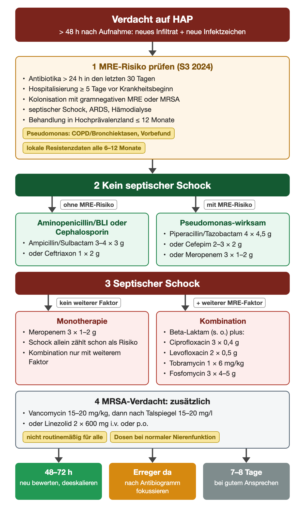 Ablaufdiagramm zur kalkulierten HAP-Therapie: Verdacht mehr als 48 Stunden nach Aufnahme, dann MRE-Risikofaktoren prüfen. Ohne septischen Schock und ohne MRE-Risiko Ampicillin/Sulbactam 3–4 × 3 g oder Ceftriaxon 1 × 2 g, mit MRE-Risiko Piperacillin/Tazobactam 4 × 4,5 g, Cefepim 2–3 × 2 g oder Meropenem 3 × 1–2 g. Im septischen Schock ohne weiteren Faktor Meropenem als Monotherapie, mit weiterem MRE-Faktor Kombination mit Ciprofloxacin, Levofloxacin, Tobramycin oder Fosfomycin. Bei MRSA-Verdacht zusätzlich Vancomycin oder Linezolid. Danach Neubewertung nach 48–72 Stunden, Fokussierung nach Antibiogramm und 7–8 Tage Gesamtdauer bei gutem Ansprechen.