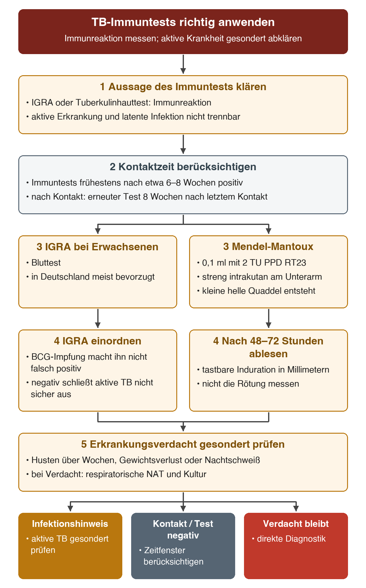 Zuerst wird die Aussagegrenze des TB-Immuntests geklärt. IGRA und Mendel-Mantoux werden mit Material und Durchführung gegenübergestellt; Kontaktzeit sowie Ablesung der Induration nach 48 bis 72 Stunden werden getrennt berücksichtigt. Das Ergebnis ersetzt bei Krankheitsverdacht keine direkte Erregerdiagnostik.