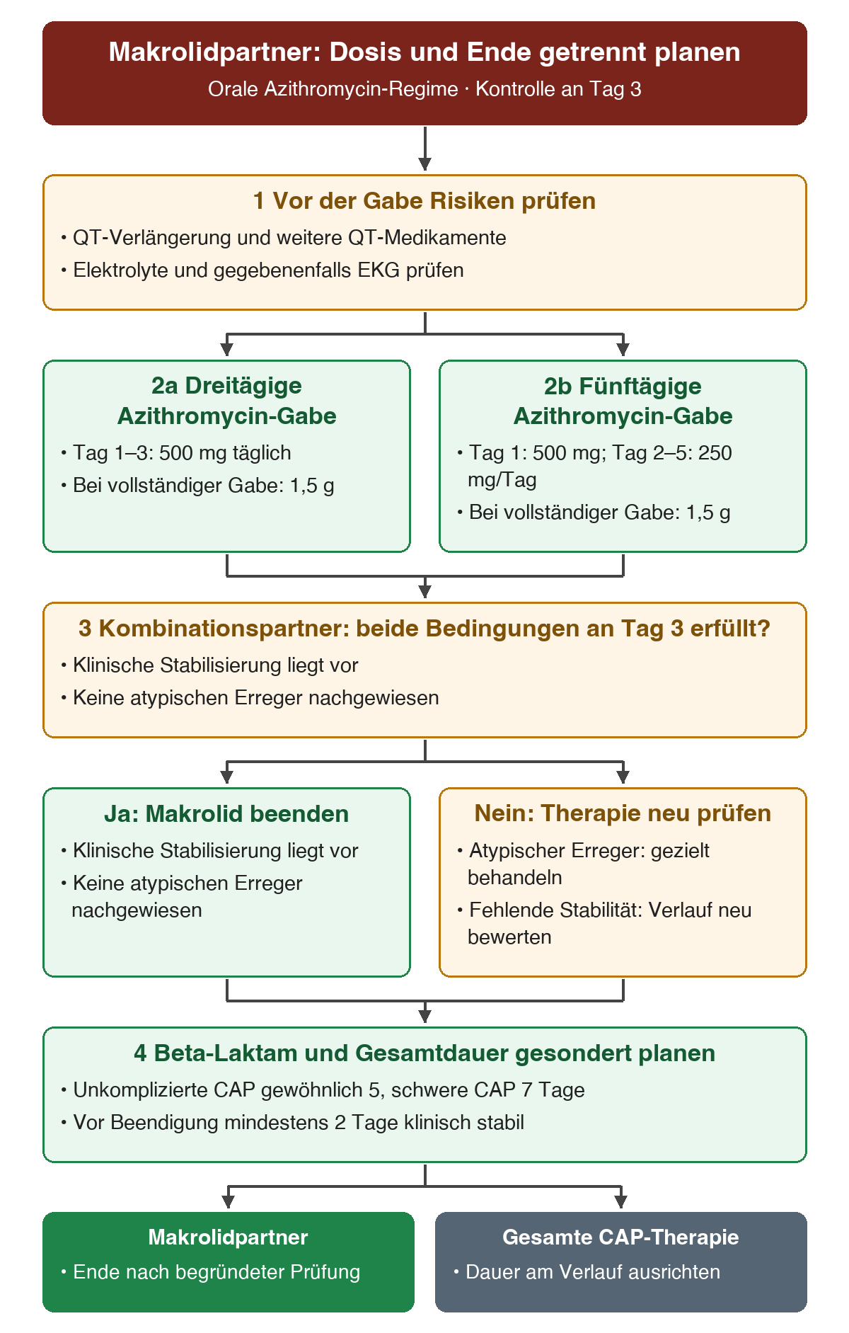 Zuerst QT-Risiken und Elektrolyte prüfen, dann zwei vollständige orale Azithromycin-Regime mit je 1,5 g Gesamtdosis vergleichen; beim Kombinationspartner an Tag drei klinische Stabilisierung und fehlenden atypischen Erregernachweis gemeinsam prüfen; Beta-Laktam und Gesamtdauer getrennt planen.