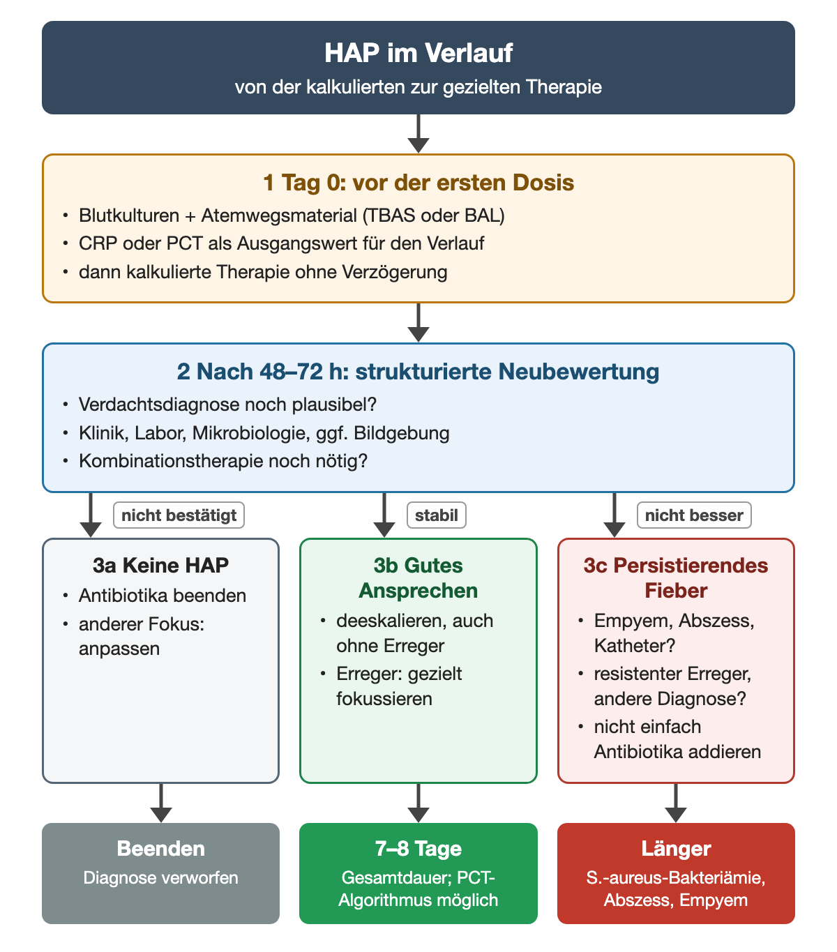 Zeitlicher Ablauf einer HAP: Am Tag 0 vor der ersten Dosis Blutkulturen, Atemwegsmaterial sowie CRP oder PCT, dann kalkulierte Therapie. Nach 48–72 Stunden strukturierte Neubewertung. Nicht bestätigt: Antibiotika beenden. Stabil: deeskalieren oder nach Erreger fokussieren, Gesamtdauer 7–8 Tage. Nicht besser: Empyem, Abszess, Katheterinfektion, resistenten Erreger oder andere Diagnose suchen; längere Therapie bei S.-aureus-Bakteriämie, Abszess oder Empyem.