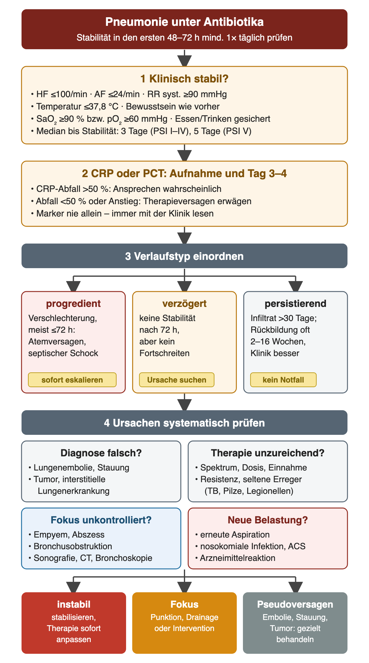 Unter Antibiotika werden zuerst die klinischen Stabilitätskriterien und an Tag 3–4 CRP oder PCT geprüft. Der Verlauf wird als progredient, verzögert ansprechend oder persistierend eingeordnet; danach werden Diagnose, Therapie, Fokus und neue Belastungen geprüft. Ergebnis ist Stabilisierung mit Therapieanpassung, Fokuskontrolle oder gezielte Behandlung einer Alternativdiagnose.