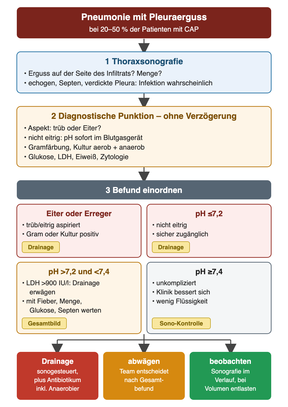 Pleuraerguss bei Pneumonie: zuerst Thoraxsonografie, dann diagnostische Punktion mit pH, Gramfärbung, Kultur, Glukose, LDH, Eiweiß und Zytologie. Eiter, Erregernachweis oder pH ≤7,2 führen zur Drainage; pH >7,2 und <7,4 mit LDH >900 IU/l zur Gesamtabwägung; pH ≥7,4 bei unkompliziertem Verlauf zur sonografischen Kontrolle.