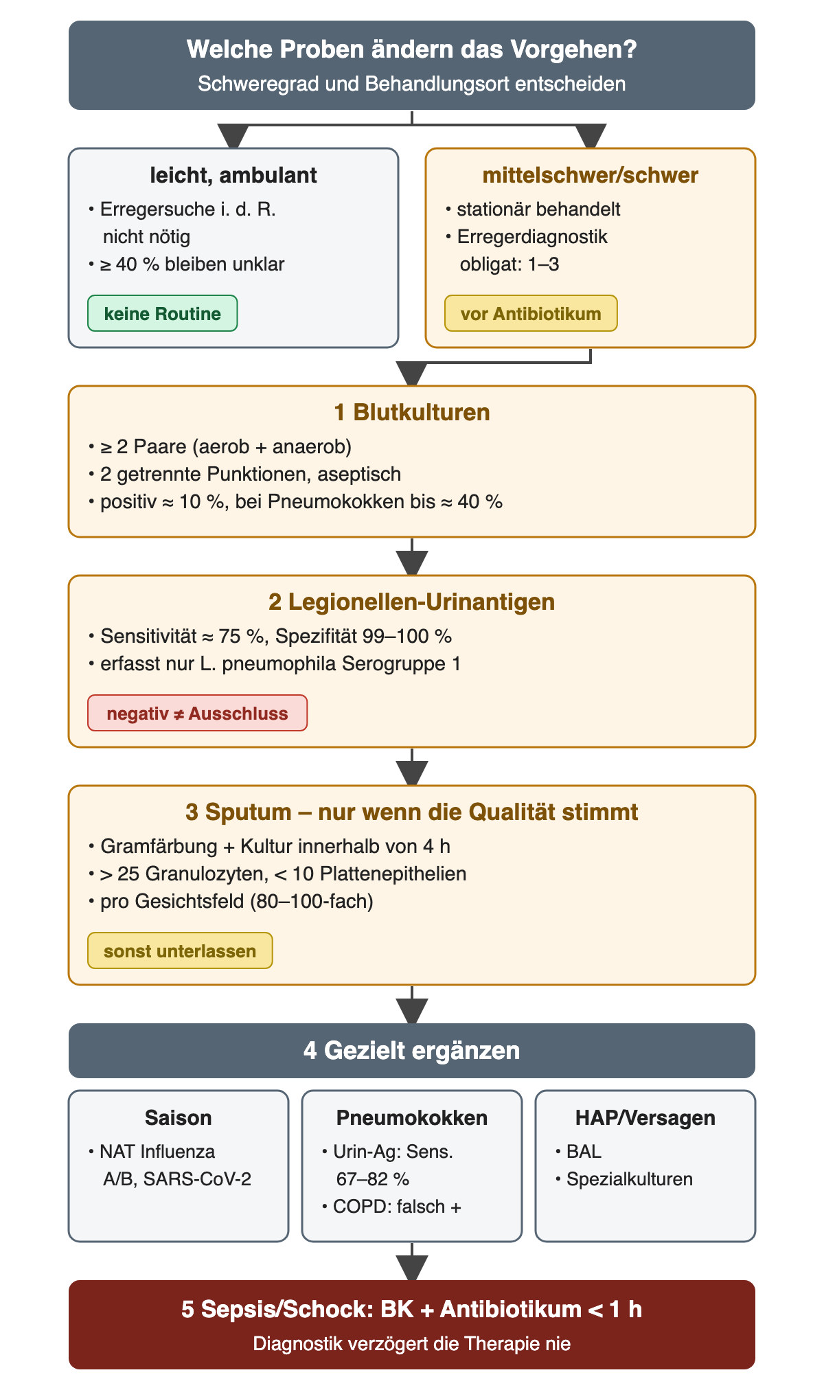 Ablaufdiagramm: leichte ambulante CAP ohne Routine-Erregersuche; stationäre mittelschwere oder schwere CAP mit mindestens zwei Blutkulturpaaren, Legionellen-Urinantigen und qualitätsgeprüftem Sputum innerhalb von 4 Stunden; gezielte Ergänzung durch Influenza- und SARS-CoV-2-NAT, Pneumokokken-Urinantigen oder BAL; bei Sepsis Blutkulturen und Antibiotikum innerhalb einer Stunde.