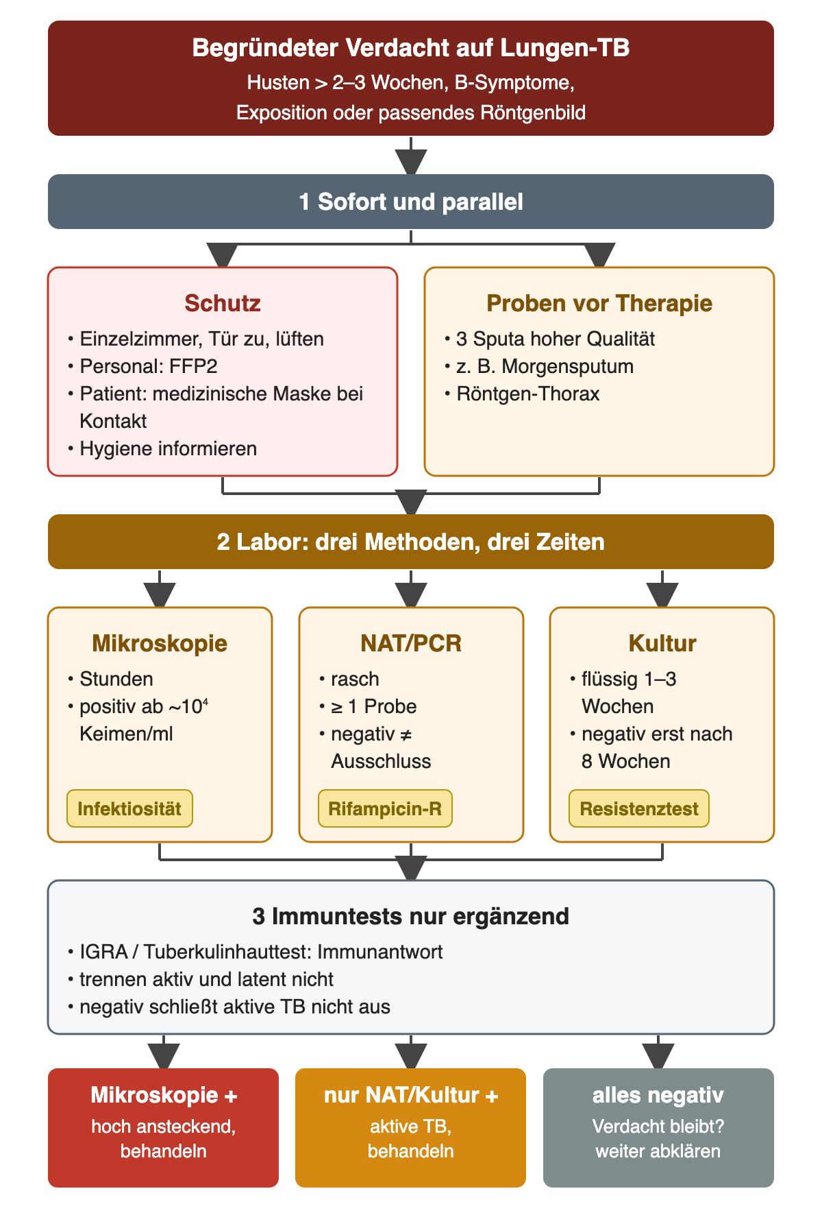 Ablauf bei begründetem Verdacht auf Lungen-TB (Husten über 2 bis 3 Wochen, B-Symptome, Exposition oder passendes Röntgenbild): Sofort und parallel Schutz mit Einzelzimmer, geschlossener Tür und Lüftung, FFP2 für das Personal, medizinischer Maske für den Patienten bei Kontakt und Information der Hygiene sowie Proben vor Therapie mit drei Sputa hoher Qualität, zum Beispiel Morgensputum, und Röntgen-Thorax. Labor mit drei Methoden: Mikroskopie in Stunden, positiv ab etwa 10 hoch 4 Keimen pro ml, zeigt Infektiosität; NAT/PCR rasch aus mindestens einer Probe, negativ kein Ausschluss, mit Rifampicin-Resistenz; Kultur flüssig nach 1 bis 3 Wochen, negativ erst nach 8 Wochen, für die Resistenztestung. Immuntests nur ergänzend. Ergebnis: Mikroskopie positiv hoch ansteckend und behandeln, nur NAT oder Kultur positiv aktive TB und behandeln, alles negativ bei bleibendem Verdacht weiter abklären.