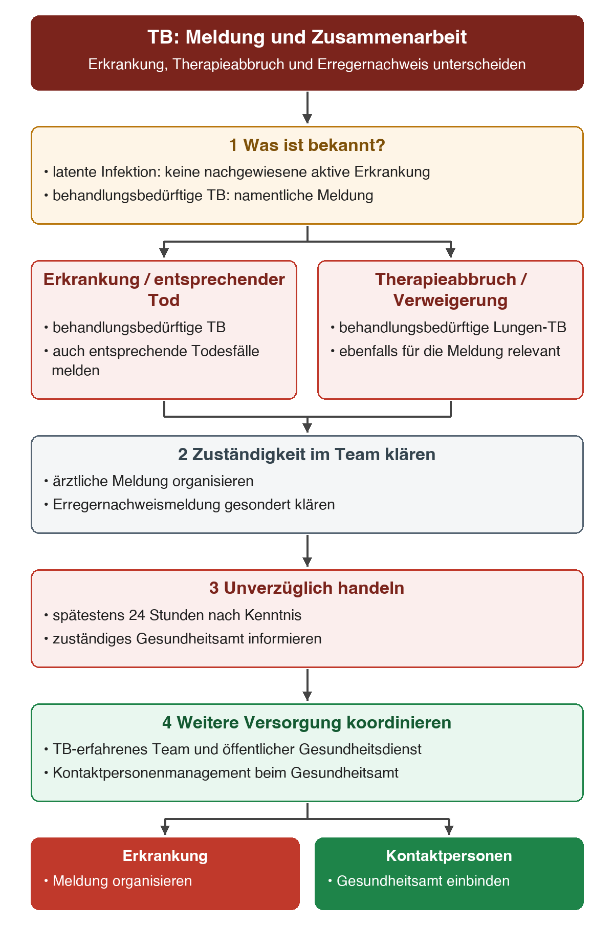 Nach Einordnung von latenter Infektion und behandlungsbedürftiger TB werden Erkrankung oder Todesfall sowie Therapieabbruch oder Verweigerung als relevante Meldesituationen geprüft. Zuständigkeiten und Erregernachweismeldung werden geklärt; die Meldung erfolgt unverzüglich, spätestens innerhalb von 24 Stunden nach Kenntnis, an das Gesundheitsamt.