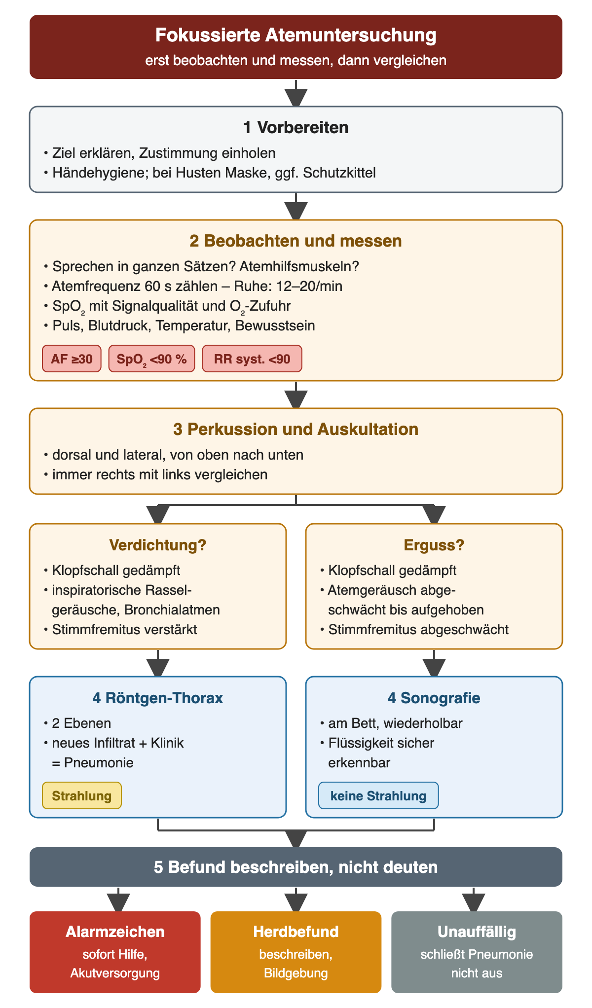 Fokussierte Atemuntersuchung in fünf Schritten: vorbereiten mit Erklärung, Zustimmung und Hygiene; beobachten und messen mit Sprechdyspnoe, Atemhilfsmuskulatur, über 60 Sekunden gezählter Atemfrequenz mit Ruhewert 12 bis 20 pro Minute, SpO₂ mit Signalqualität und Sauerstoffzufuhr sowie Puls, Blutdruck, Temperatur und Bewusstsein; Alarmgrenzen Atemfrequenz ab 30, SpO₂ unter 90 Prozent, systolischer Blutdruck unter 90. Danach Perkussion und Auskultation dorsal und lateral im Seitenvergleich. Verdichtung: gedämpfter Klopfschall, inspiratorische Rasselgeräusche, Bronchialatmen, verstärkter Stimmfremitus, weiter mit Röntgen-Thorax. Erguss: gedämpfter Klopfschall, abgeschwächtes bis aufgehobenes Atemgeräusch, abgeschwächter Stimmfremitus, weiter mit Sonografie. Ein unauffälliger Befund schließt Pneumonie nicht aus.