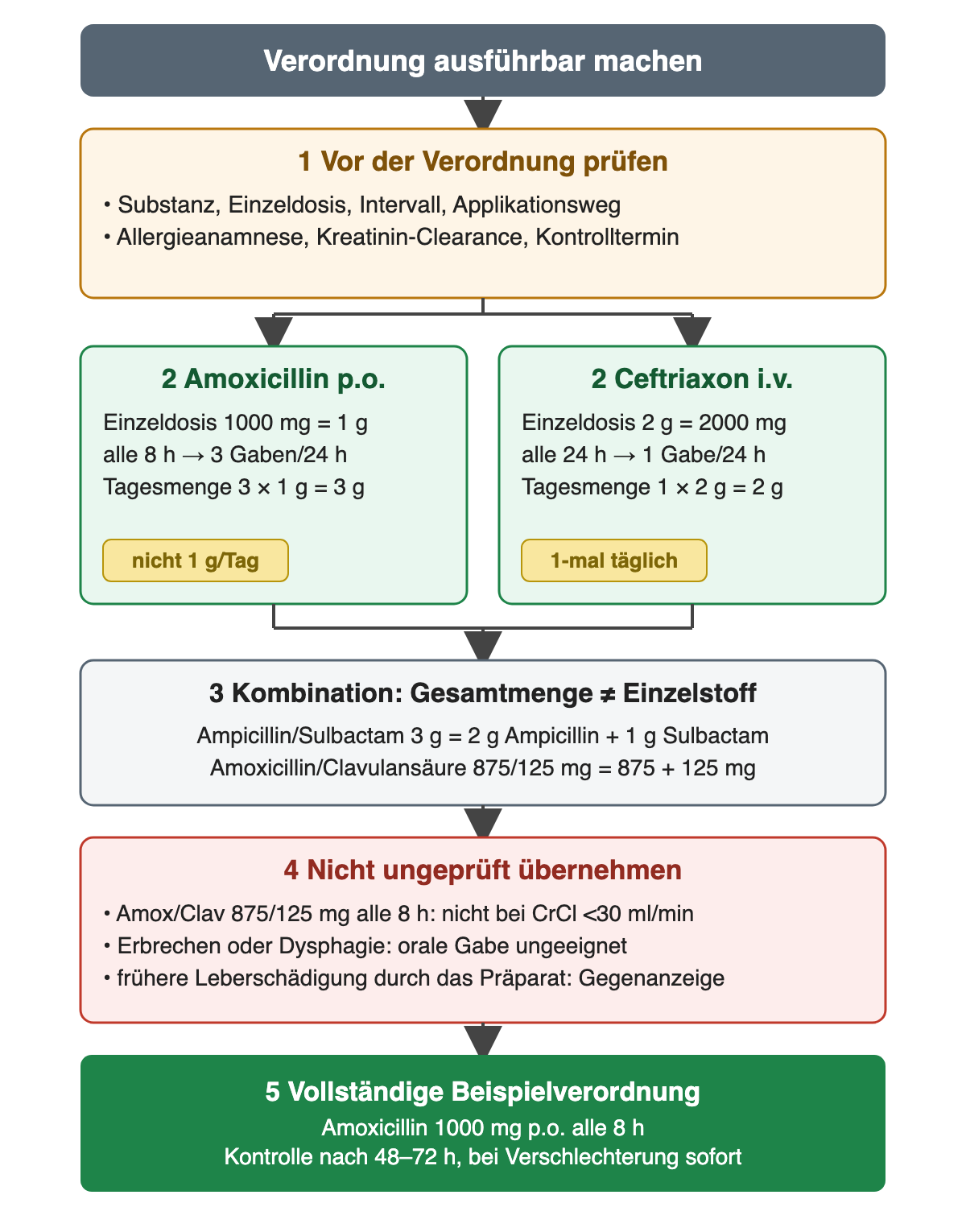 Verordnung in fünf Schritten: zuerst Substanz, Einzeldosis, Intervall, Applikationsweg, Allergieanamnese, Kreatinin-Clearance und Kontrolltermin prüfen. Zwei Rechenbeispiele nebeneinander: Amoxicillin p.o. 1000 mg gleich 1 g, alle 8 h drei Gaben, Tagesmenge 3 g; Ceftriaxon i.v. 2 g, alle 24 h eine Gabe, Tagesmenge 2 g. Kombinationen: Ampicillin/Sulbactam 3 g sind 2 g plus 1 g, Amoxicillin/Clavulansäure 875/125 mg sind 875 plus 125 mg. Nicht ungeprüft übernehmen bei Kreatinin-Clearance unter 30 ml/min, Erbrechen oder Dysphagie und früherer Leberschädigung durch das Präparat. Ergebnis: Amoxicillin 1000 mg p.o. alle 8 h, Kontrolle nach 48–72 h, bei Verschlechterung sofort.