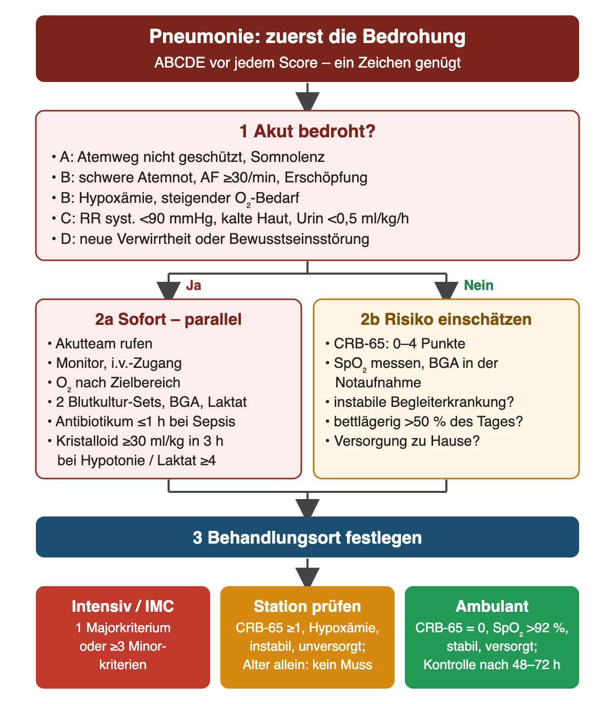 Ablauf: Erst ABCDE mit Warnzeichen wie Atemfrequenz ab 30 pro Minute, Hypoxämie, systolischem Blutdruck unter 90 mmHg oder neuer Verwirrtheit. Bei Bedrohung parallel Akutteam, Monitor, Zugang, Sauerstoff, Blutkulturen, Laktat, Antibiotikum innerhalb einer Stunde bei Sepsis und mindestens 30 ml/kg Kristalloid in 3 Stunden bei Hypotonie oder Laktat ab 4 mmol/l. Ohne Bedrohung Risiko mit CRB-65, Sättigung, Begleiterkrankungen und Versorgung einschätzen; danach Intensivstation, stationäre Prüfung oder ambulante Behandlung mit Kontrolle nach 48 bis 72 Stunden.