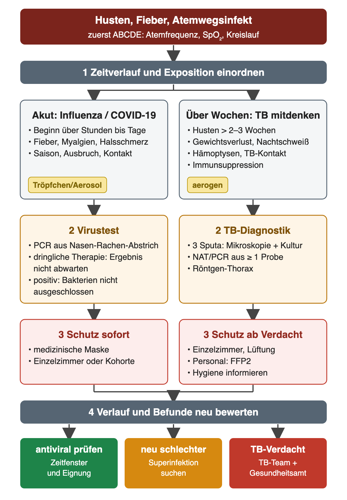 Gegenüberstellung nach ABCDE: links akuter Beginn über Stunden bis Tage mit Fieber, Myalgien und Halsschmerz bei Influenza oder COVID-19, Übertragung über Tröpfchen und Aerosol; rechts Beschwerden über Wochen mit Husten über 2 bis 3 Wochen, Gewichtsverlust, Nachtschweiß, Hämoptysen, TB-Kontakt oder Immunsuppression, aerogene Übertragung. Darunter jeweils Diagnostik (Virus-PCR aus dem Nasen-Rachen-Abstrich beziehungsweise drei Sputumproben, NAT und Röntgen-Thorax) und Schutzmaßnahmen (medizinische Maske und Einzelzimmer oder Kohorte beziehungsweise Einzelzimmer mit Lüftung, FFP2 für das Personal und Information der Hygiene). Ergebnis: antivirale Therapie prüfen, bei neuer Verschlechterung Superinfektion suchen, bei TB-Verdacht TB-Team und Gesundheitsamt einbinden.