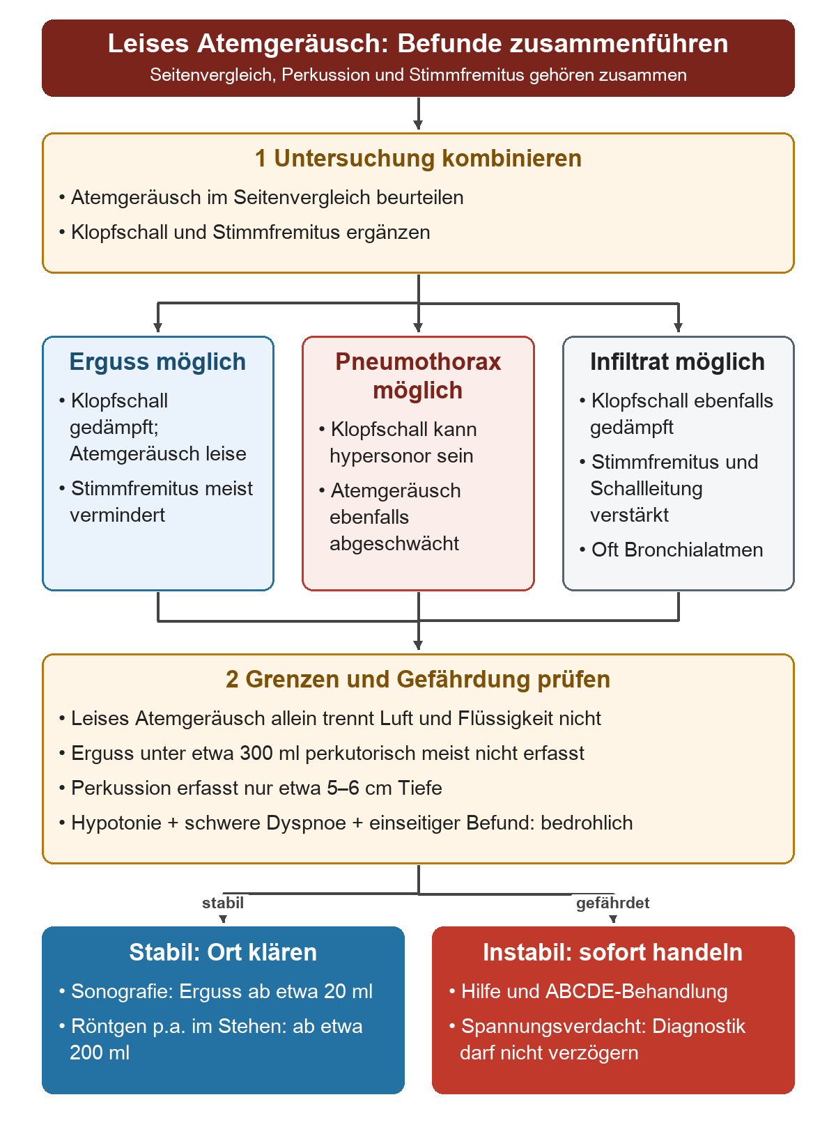 Befundweg vom Seitenvergleich über drei Kombinationen aus Klopfschall, Atemgeräusch und Stimmfremitus zu den Untersuchungsgrenzen; abschließend stabile Bildabklärung oder unmittelbare Behandlung bei Gefährdung.