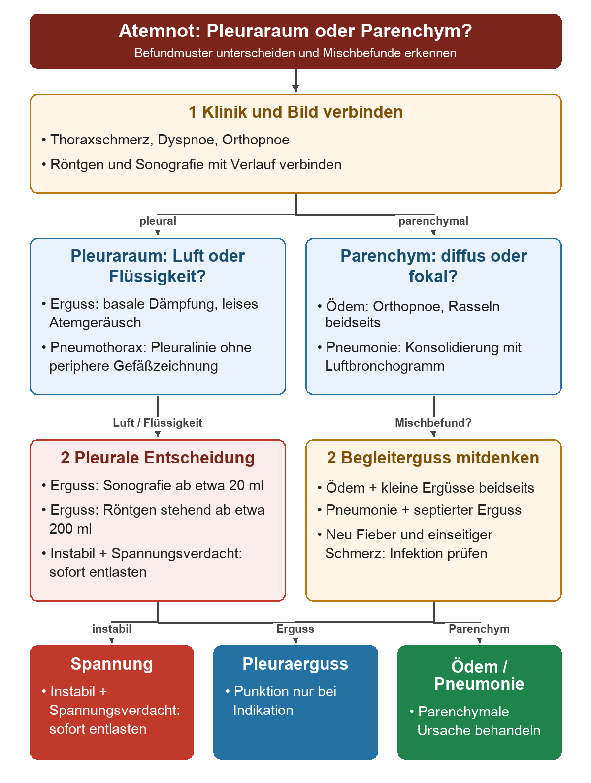 Von Atemnot und klinischem Verlauf führt der Weg getrennt zu pleuralen und parenchymalen Befunden. Pleural werden Erguss und Pneumothorax unterschieden; parenchymal Ödem und Pneumonie mit möglichen Begleitergüssen. Die unteren Wege trennen sofortige Entlastung bei Instabilität und Spannungsverdacht, indikationsgerechte Punktion sowie Behandlung der parenchymalen Ursache.