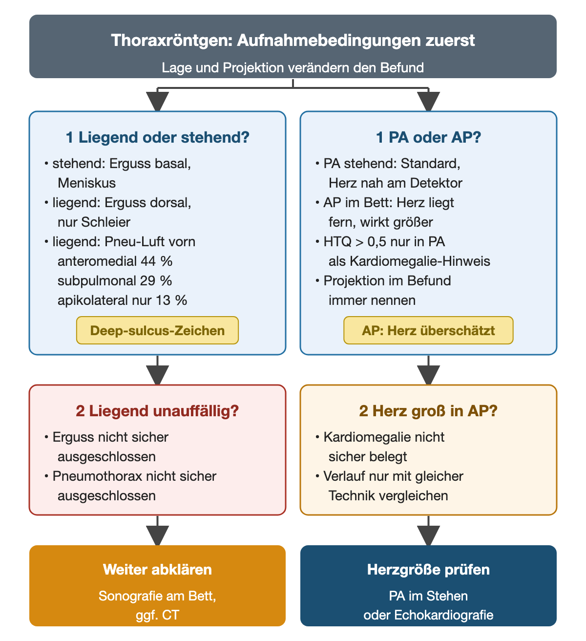 Zwei parallele Wege zum Thoraxröntgen: Links Lage – stehend Erguss basal mit Meniskus, liegend dorsal als Schleier, Pneumothorax-Luft liegend anteromedial 44 %, subpulmonal 29 %, apikolateral nur 13 %, Deep-sulcus-Zeichen; ein unauffälliges Liegendbild schließt Erguss und Pneumothorax nicht aus, daher Sonografie am Bett oder CT. Rechts Projektion – PA als Standard, AP vergrößert das Herz, Herz-Thorax-Quotient über 0,5 nur in PA verwertbar; Herzgröße mit PA im Stehen oder Echokardiografie prüfen.