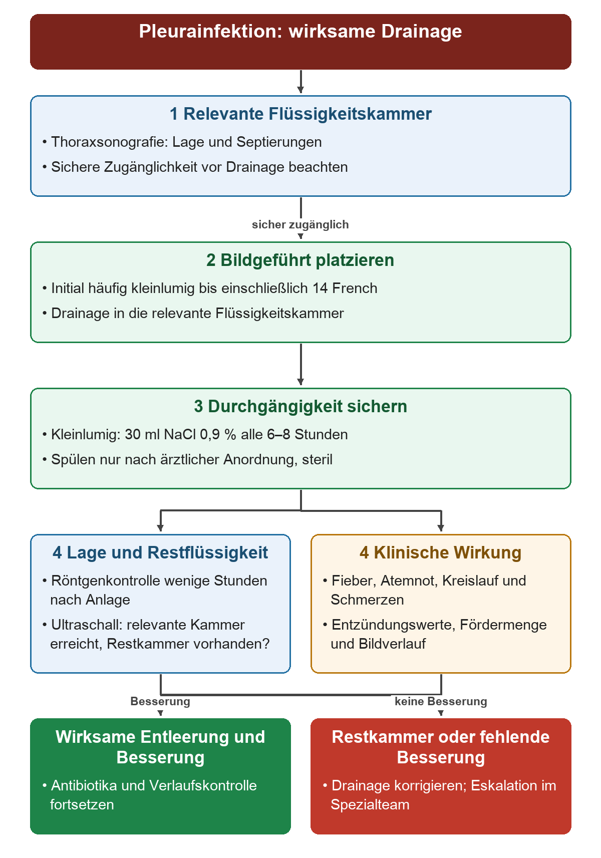 Von der sonografisch bestimmten Flüssigkeitskammer über die kleinlumige Drainage und angeordnete Spülungen zur gemeinsamen Beurteilung von Lage, Restflüssigkeit und klinischem Verlauf.