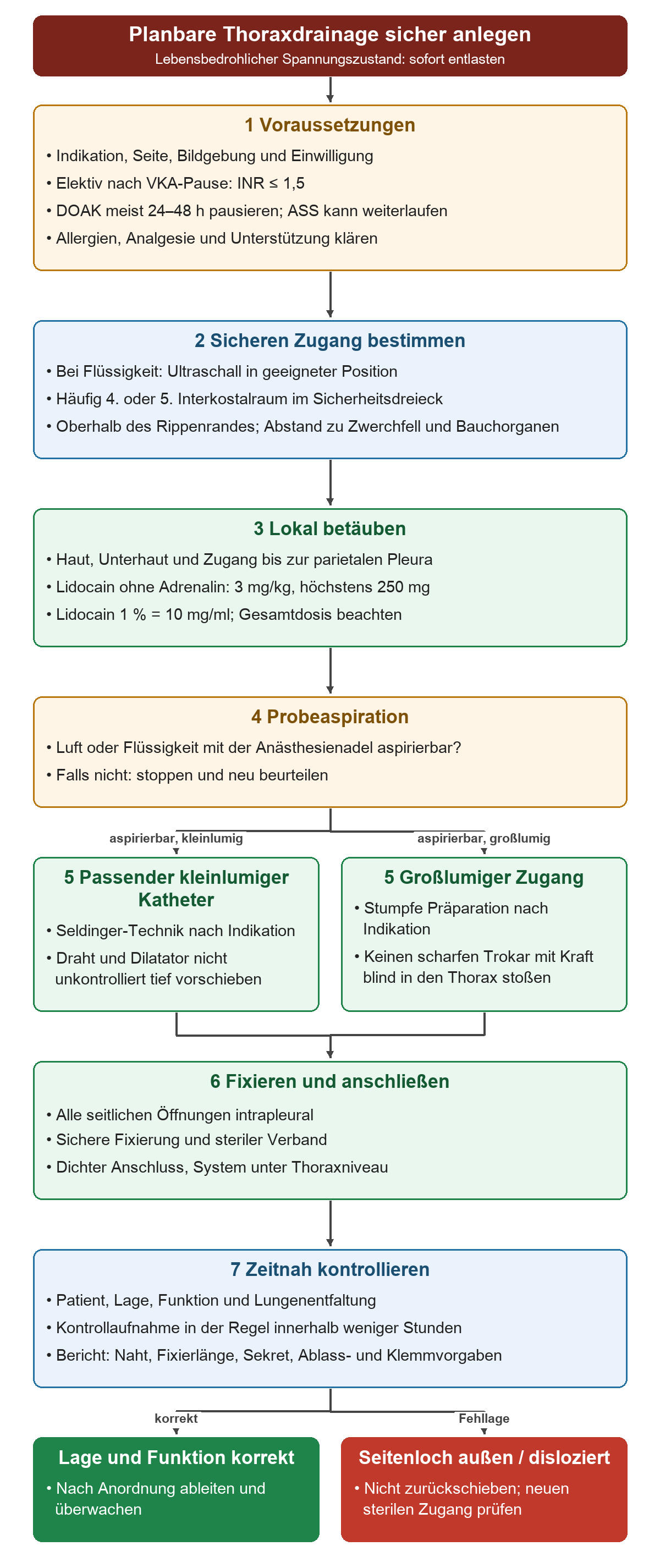 Der planbare Ablauf führt von Voraussetzungen, Ultraschall und Lokalanästhesie über Probeaspiration und passende Technik zur Fixierung und Kontrolle; korrekt liegende und dislozierte Drainagen haben unterschiedliche Konsequenzen.