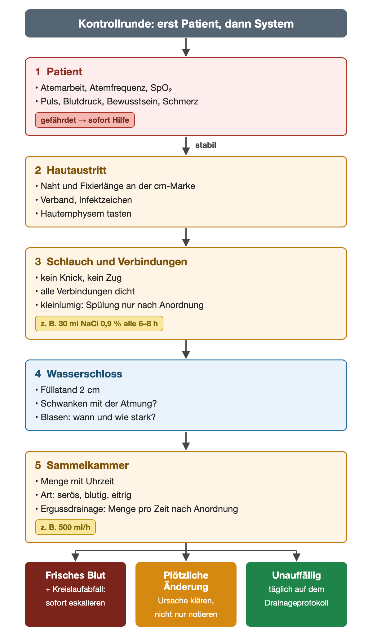 Kontrollrunde in fünf Schritten: zuerst der Patient mit Atemarbeit, Atemfrequenz, SpO2, Puls, Blutdruck, Bewusstsein und Schmerz; dann Hautaustritt, Schlauch und Verbindungen mit Spülung 30 ml NaCl alle 6 bis 8 Stunden nach Anordnung, Wasserschloss mit 2 cm Füllstand, Sammelkammer mit Menge pro Zeit, zum Beispiel 500 ml/h; unten frisches Blut eskalieren, plötzliche Änderung klären, unauffällig dokumentieren.