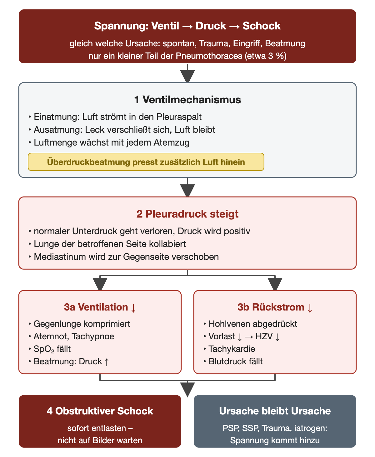 Ablaufdiagramm in vier Schritten: Ventilmechanismus lässt Luft bei jeder Einatmung in den Pleuraspalt, der Pleuradruck wird positiv, Lunge kollabiert und Mediastinum verschiebt sich; daraus folgen verminderte Ventilation und verminderter venöser Rückstrom mit Tachykardie und Blutdruckabfall bis zum obstruktiven Schock.
