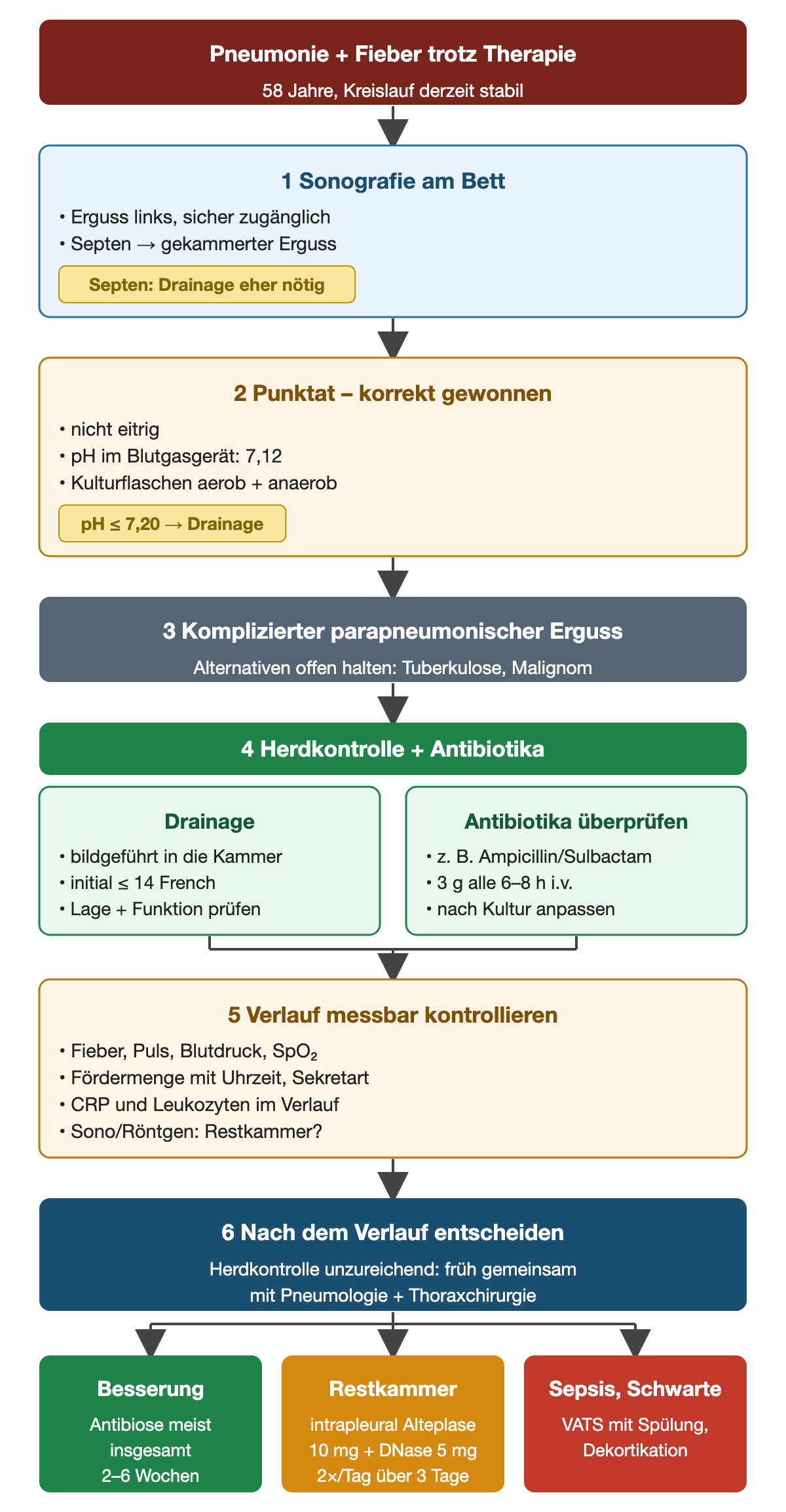Ablaufdiagramm zum Fall: Pneumonie mit Fieber trotz Therapie, 58 Jahre, Kreislauf stabil. 1 Sonografie: Erguss links, sicher zugänglich, Septen. 2 Korrekt gewonnenes, nicht eitriges Punktat mit pH 7,12 im Blutgasgerät und Kulturflaschen; pH ≤ 7,20 spricht für Drainage. 3 Arbeitsdiagnose komplizierter parapneumonischer Erguss, Tuberkulose und Malignom als Alternativen offen halten. 4 Bildgeführte Drainage initial ≤ 14 French und Antibiotika überprüfen, zum Beispiel Ampicillin/Sulbactam 3 g alle 6–8 Stunden i.v. 5 Messbare Verlaufskontrolle. 6 Bei unzureichender Herdkontrolle früh gemeinsam mit Pneumologie und Thoraxchirurgie entscheiden: Besserung mit Antibiose meist 2–6 Wochen, Restkammer mit intrapleural Alteplase 10 mg plus DNase 5 mg zweimal täglich über 3 Tage, Sepsis oder Schwarte mit VATS und Dekortikation.
