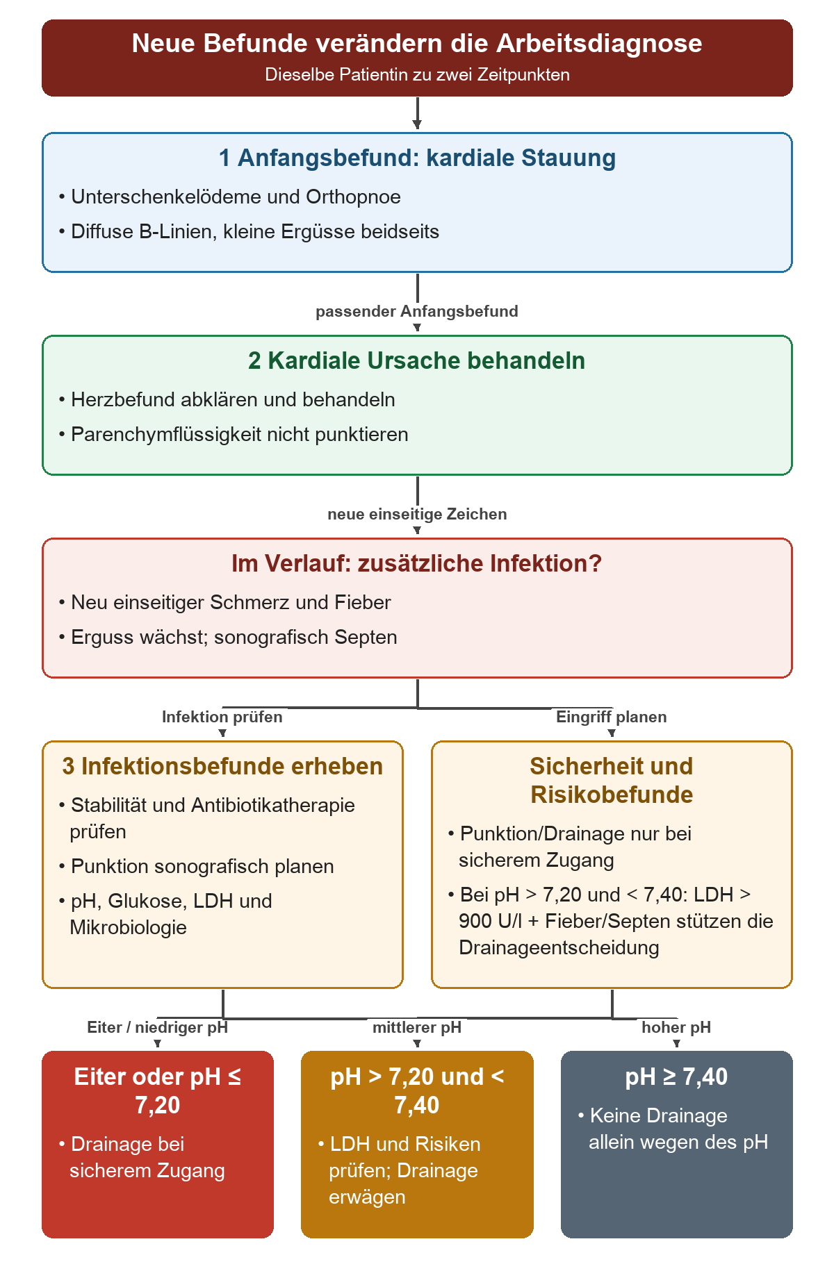 Anfangs sprechen Orthopnoe, Unterschenkelödeme, diffuse B-Linien und kleine beidseitige Ergüsse für kardiale Stauung. Neue einseitige Schmerzen, Fieber und Septierungen führen zur Prüfung einer zusätzlichen Infektion. Nach sonografisch geplanter Punktion und Sicherheitsprüfung folgen drei pH-Wege: Eiter oder pH ≤ 7,20, pH > 7,20 und < 7,40 sowie pH ≥ 7,40.