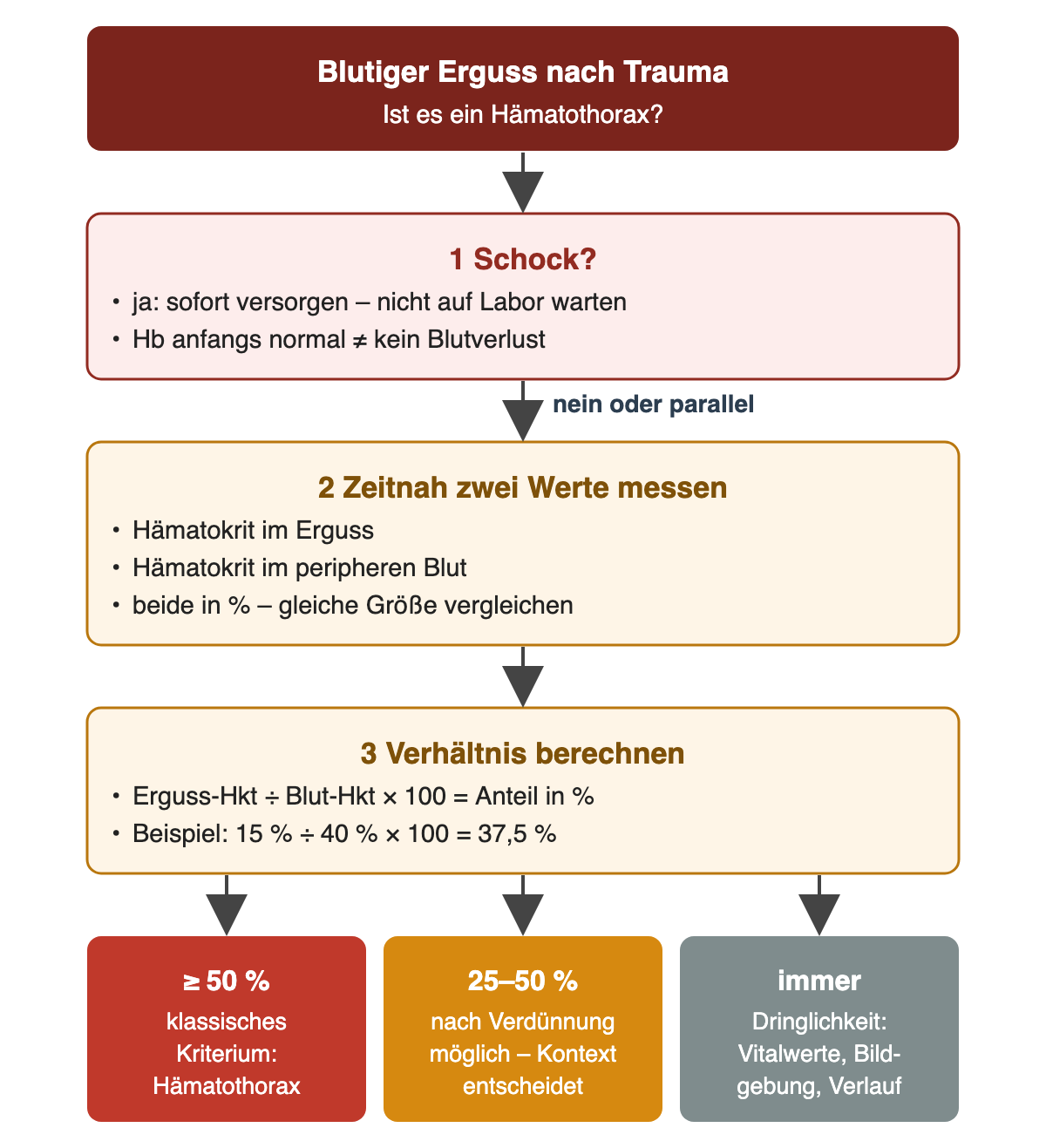 Vom blutigen Erguss nach Trauma zuerst die Schockfrage mit sofortiger Versorgung ohne Laborwartezeit. Danach zeitnah Erguss- und Blut-Hämatokrit messen und das Verhältnis berechnen, Beispiel 15 durch 40 mal 100 gleich 37,5 Prozent. Unten drei Felder: mindestens 50 Prozent klassisches Kriterium, 25 bis 50 Prozent nach Verdünnung möglich, Dringlichkeit immer nach Vitalwerten, Bildgebung und Verlauf.