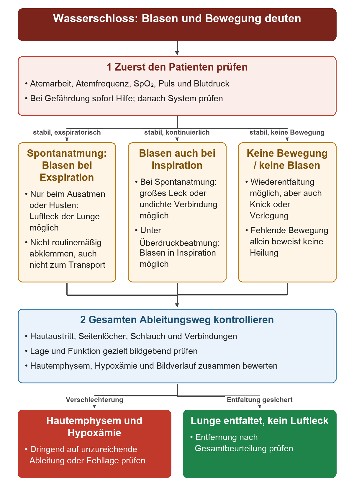 Nach der klinischen Prüfung werden exspiratorische Blasen, kontinuierliche Blasen und fehlende Bewegung unterschieden; alle Muster führen zur Prüfung von Lage und Funktion, erst dann zur jeweiligen Konsequenz.
