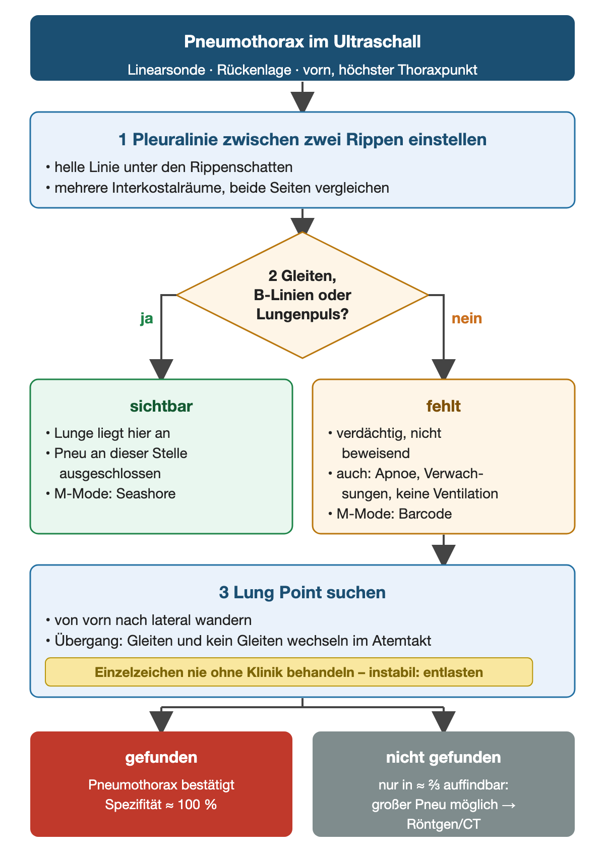 Sonografie-Algorithmus: Pleuralinie zwischen zwei Rippen einstellen; Raute fragt nach Lungengleiten, B-Linien oder Lungenpuls. Sichtbar schließt einen Pneumothorax an dieser Stelle aus; fehlt das Gleiten, ist das verdächtig, aber unspezifisch. Dann Lung Point suchen: gefunden bestätigt den Pneumothorax mit Spezifität etwa 100 %, nicht gefunden schließt einen großen Pneumothorax nicht aus.