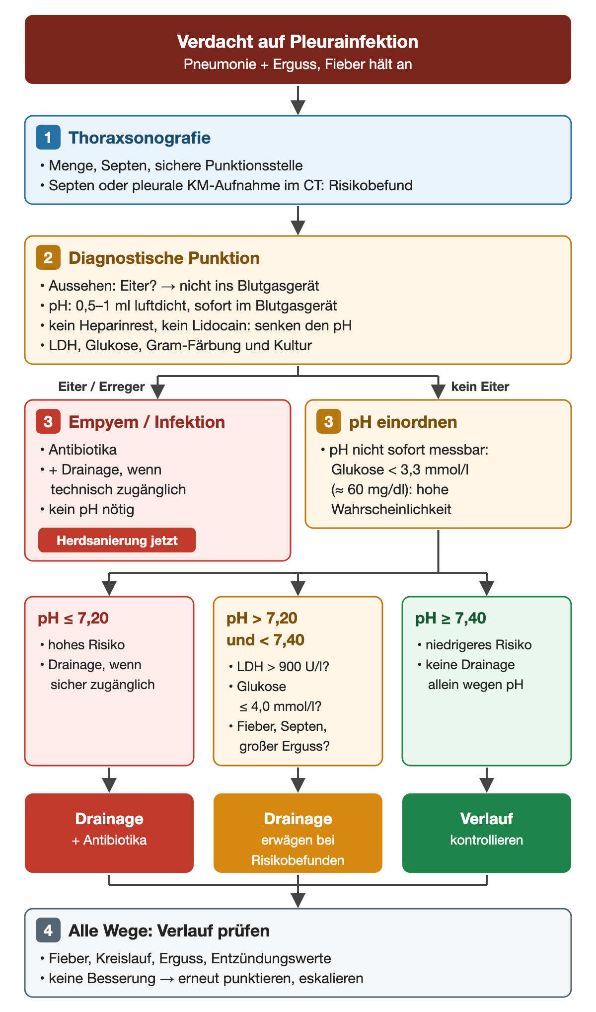 Entscheidungsweg bei Verdacht auf Pleurainfektion: 1 Thoraxsonografie, 2 diagnostische Punktion mit pH-Messung von 0,5 bis 1 ml im Blutgasgerät, LDH, Glukose, Gram-Färbung und Kultur. Bei Eiter oder Erregernachweis Antibiotika und Drainage ohne pH. Ohne Eiter drei pH-Gruppen: bis 7,20 hohes Risiko mit Drainage, über 7,20 und unter 7,40 Drainage erwägen bei LDH über 900 U/l, Glukose bis 4,0 mmol/l, Fieber, Septen oder großem Erguss, ab 7,40 keine Drainage allein wegen des pH. Ist der pH nicht sofort messbar, spricht Glukose unter 3,3 mmol/l für eine hohe Wahrscheinlichkeit. Alle Wege münden in die Verlaufskontrolle.