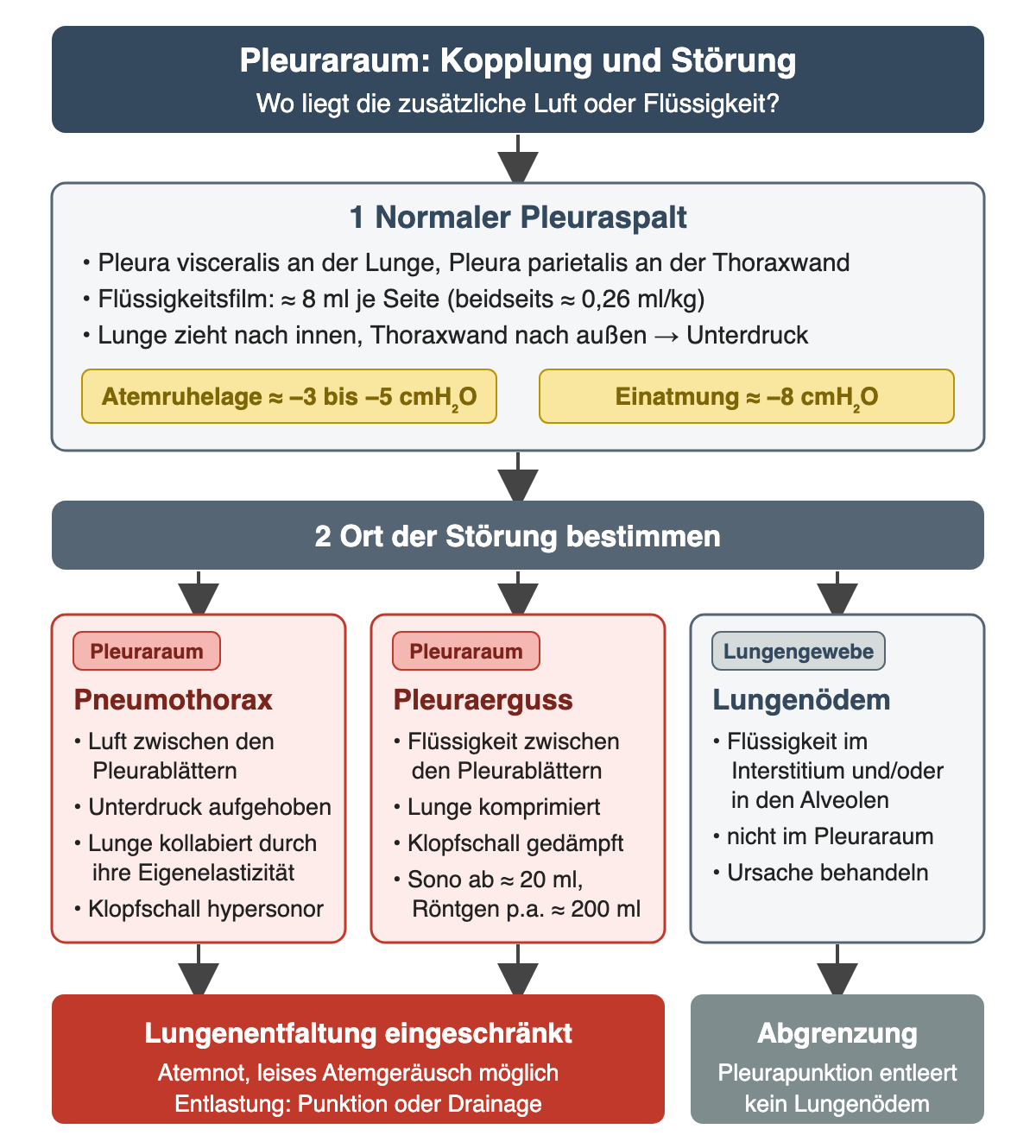 Flussdiagramm in zwei Schritten: Normaler Pleuraspalt mit etwa 8 ml Flüssigkeit je Seite und einem Pleuradruck von etwa −3 bis −5 cmH₂O in Atemruhelage und etwa −8 cmH₂O bei Einatmung; danach drei Spalten zur Ortsbestimmung: Pneumothorax und Pleuraerguss im Pleuraraum schränken die Lungenentfaltung ein, das Lungenödem liegt im Lungengewebe und wird durch eine Pleurapunktion nicht entleert.