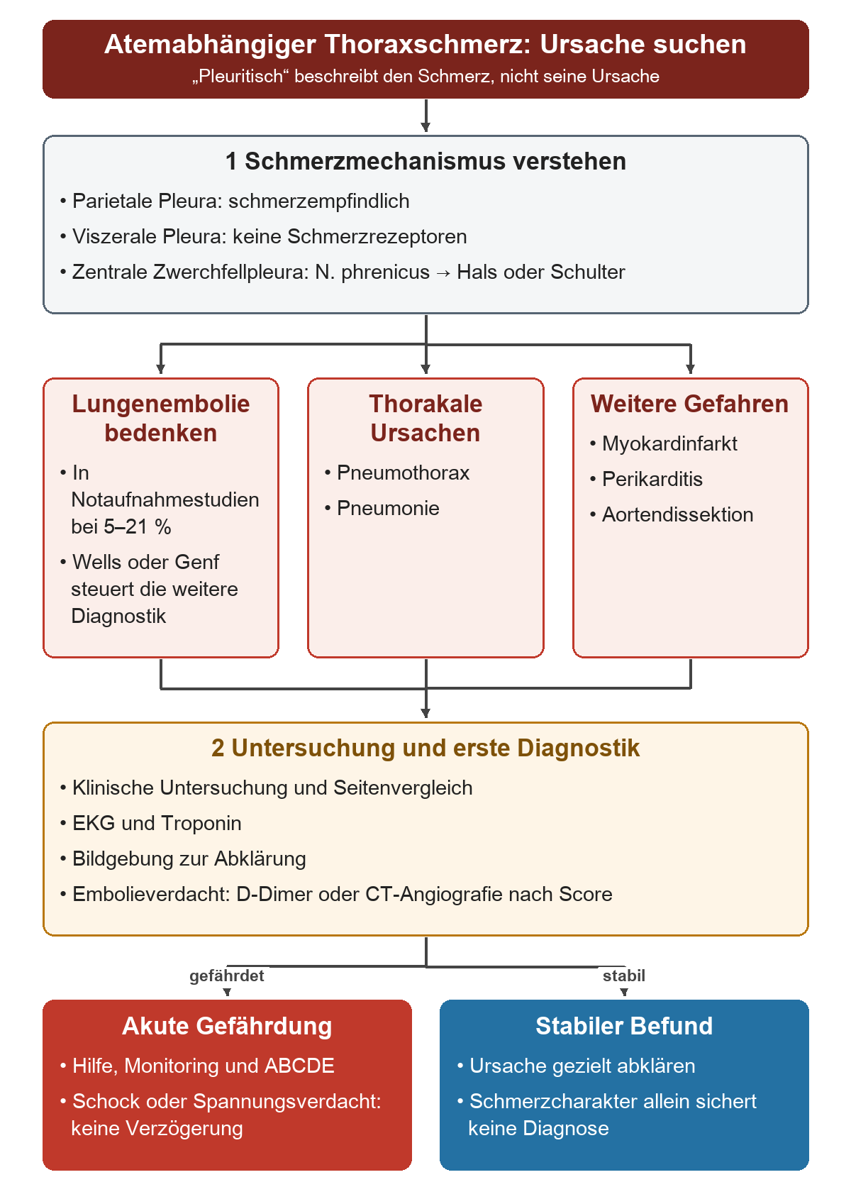Der Weg beginnt mit der Schmerzempfindlichkeit der Pleurablätter, verzweigt zu den gefährlichen Ursachen einschließlich Lungenembolie und führt über Untersuchung, EKG, Troponin und Bildgebung zur Trennung von akuter Gefährdung und stabilem Befund.