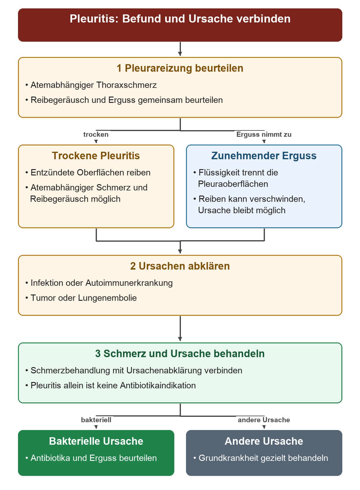 Vom atemabhängigen Schmerz über trockene Pleuritis oder zunehmenden Erguss zur Ursachenabklärung; Schmerztherapie und Behandlung der nachgewiesenen Ursache folgen gemeinsam.