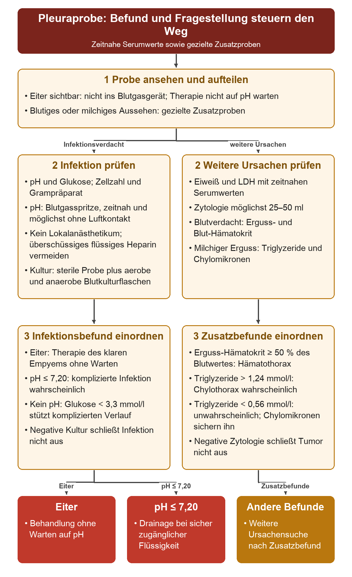Nach der Sichtprüfung verzweigt die Probe zur Infektionsdiagnostik mit sorgfältiger pH- und Kulturprobe oder zu Eiweiß, LDH, Zytologie und gezielten Zusatzproben; die Befunde führen zur Behandlung bei Eiter, zur Drainageentscheidung bei pH bis 7,20 oder zur weiteren Ursachensuche.