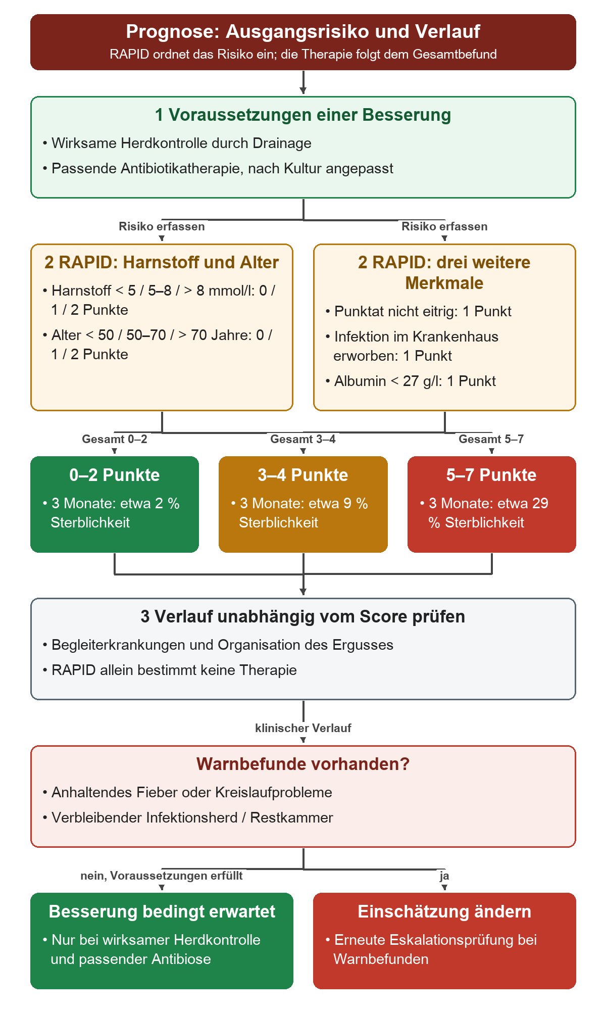 Zunächst werden wirksame Herdkontrolle und passende Antibiotikatherapie geprüft. Zwei Kästen enthalten die fünf RAPID-Merkmale mit ihren Punkten. Der Gesamtscore ordnet die Dreimonatssterblichkeit in etwa 2, 9 oder 29 Prozent ein. Unabhängig davon werden Begleiterkrankungen, Ergussorganisation und aktuelle Warnbefunde geprüft; die Prognose bleibt bedingt und bei Warnbefunden wird erneut eskaliert.