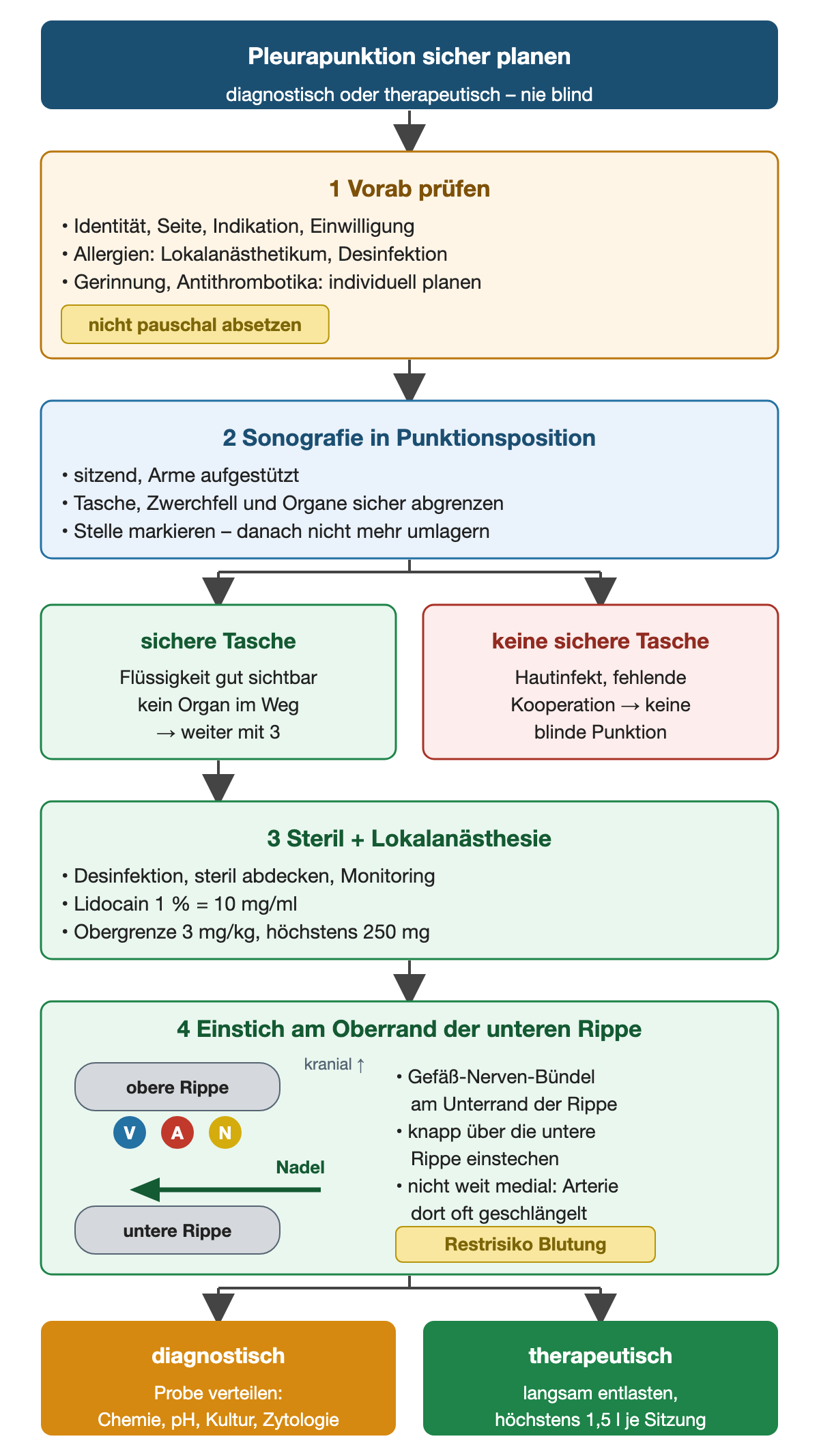 Ablaufdiagramm zur Planung einer Pleurapunktion: 1 vorab Identität, Seite, Indikation, Einwilligung, Allergien sowie Gerinnung und Antithrombotika individuell prüfen (nicht pauschal absetzen); 2 Sonografie in Punktionsposition, sitzend mit aufgestützten Armen, Stelle markieren und nicht mehr umlagern; Verzweigung: sichere Tasche führt weiter, keine sichere Tasche, Hautinfekt oder fehlende Kooperation bedeuten keine blinde Punktion; 3 steriles Arbeiten, Monitoring und Lidocain 1 % mit Obergrenze 3 mg/kg, höchstens 250 mg; 4 Schemazeichnung des Zwischenrippenraums mit Vene, Arterie und Nerv am Unterrand der oberen Rippe und der Nadel knapp über der unteren Rippe, nicht weit medial, Restrisiko Blutung. Ergebnis: diagnostisch Probe verteilen, therapeutisch langsam entlasten mit höchstens 1,5 l je Sitzung.