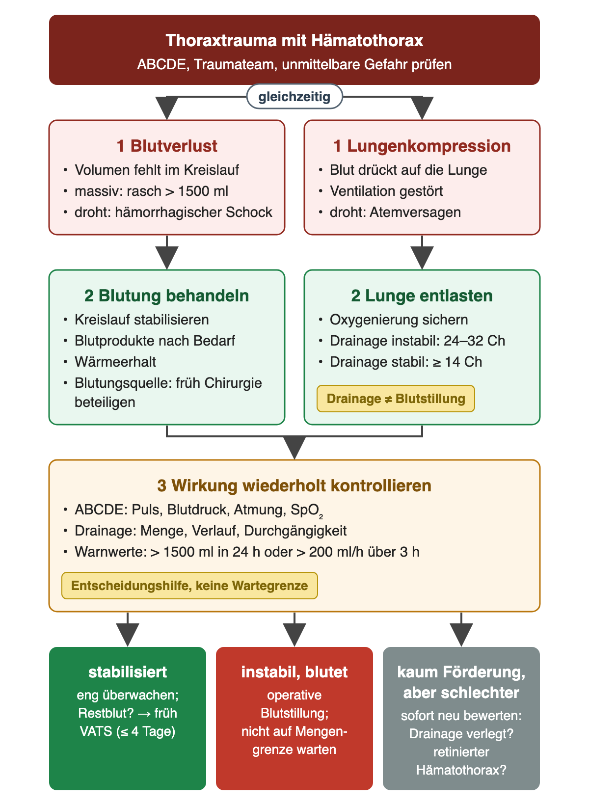 Zwei parallele Wege nach Thoraxtrauma mit Hämatothorax: Blutverlust bis zum massiven Verlust über 1500 ml führt zur Blutungsbehandlung, Lungenkompression zur Entlastung mit Drainage 24 bis 32 Charrière bei Instabilität oder ab 14 Charrière bei Stabilität. Beide münden in wiederholte Kontrolle mit den Warnwerten über 1500 ml in 24 Stunden oder über 200 ml pro Stunde über 3 Stunden und drei Verläufen: stabilisiert mit früher VATS bei Restblut, instabil mit operativer Blutstillung, kaum Förderung bei Verschlechterung mit sofortiger Neubewertung.