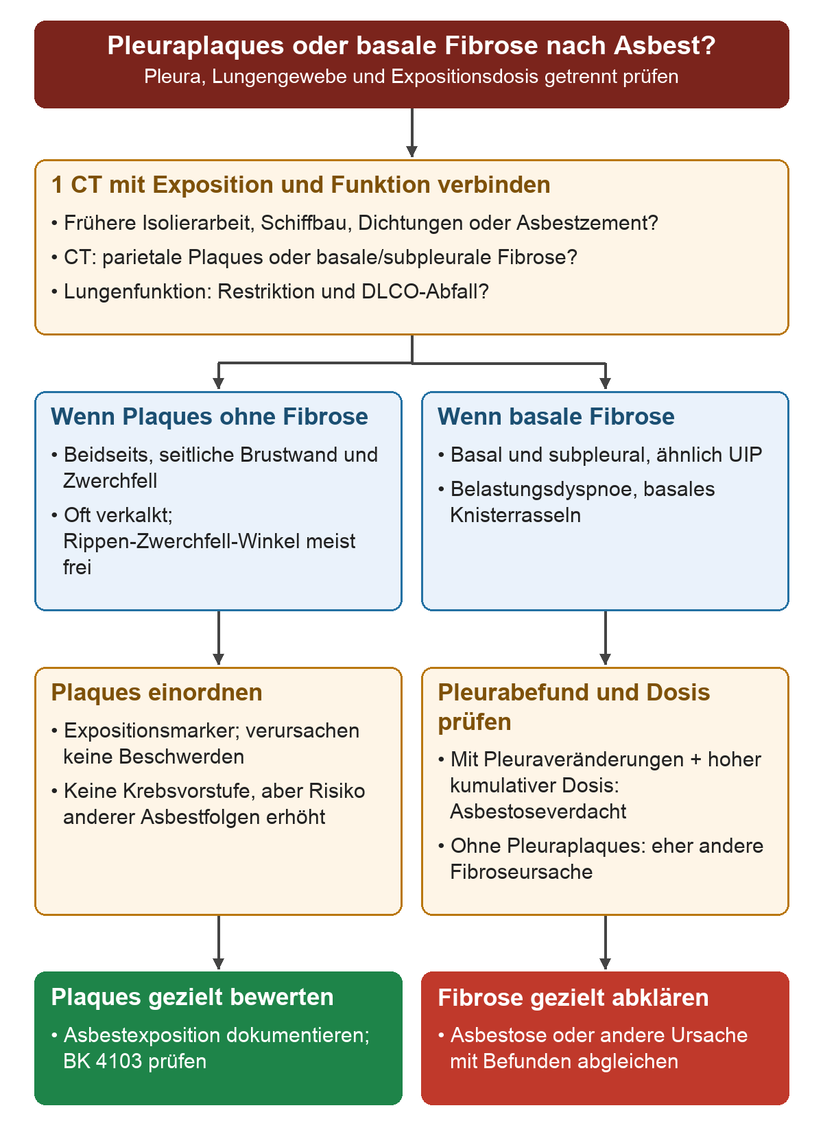 CT-Befund, frühere Asbestexposition und Lungenfunktion werden zusammengeführt; isolierte Pleuraplaques führen zur Bewertung als Expositionsmarker, basale Fibrose zur Prüfung von hoher Asbestdosis und begleitenden Pleuraveränderungen beziehungsweise einer anderen Fibroseursache.