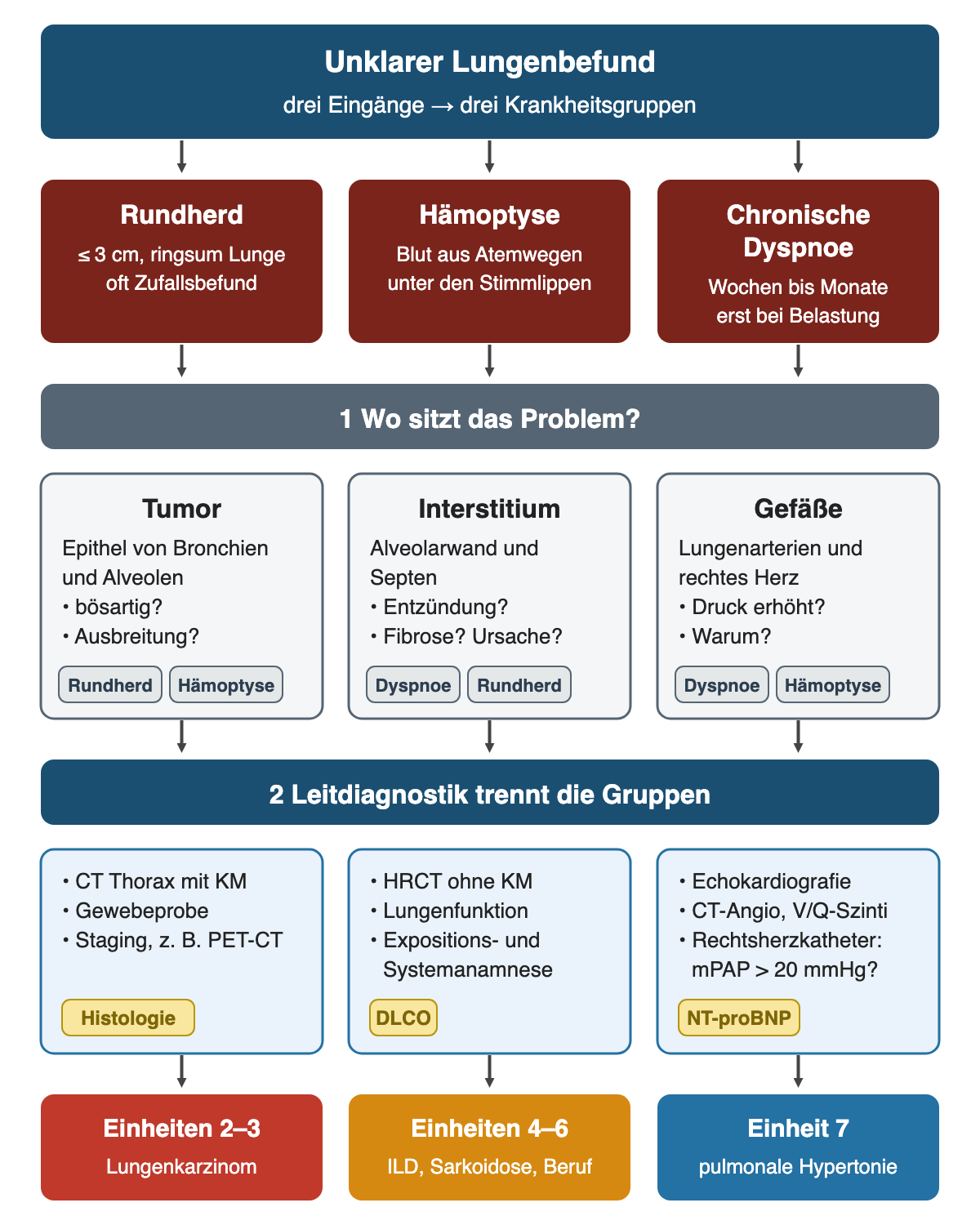 Flussdiagramm von oben nach unten: drei Eingänge Rundherd, Hämoptyse und chronische Dyspnoe; darunter die Krankheitsgruppen Tumor, Interstitium und Gefäße mit Etiketten für ihre typischen Eingänge; dann die Leitdiagnostik jeder Gruppe und die Einheiten, in denen sie behandelt wird