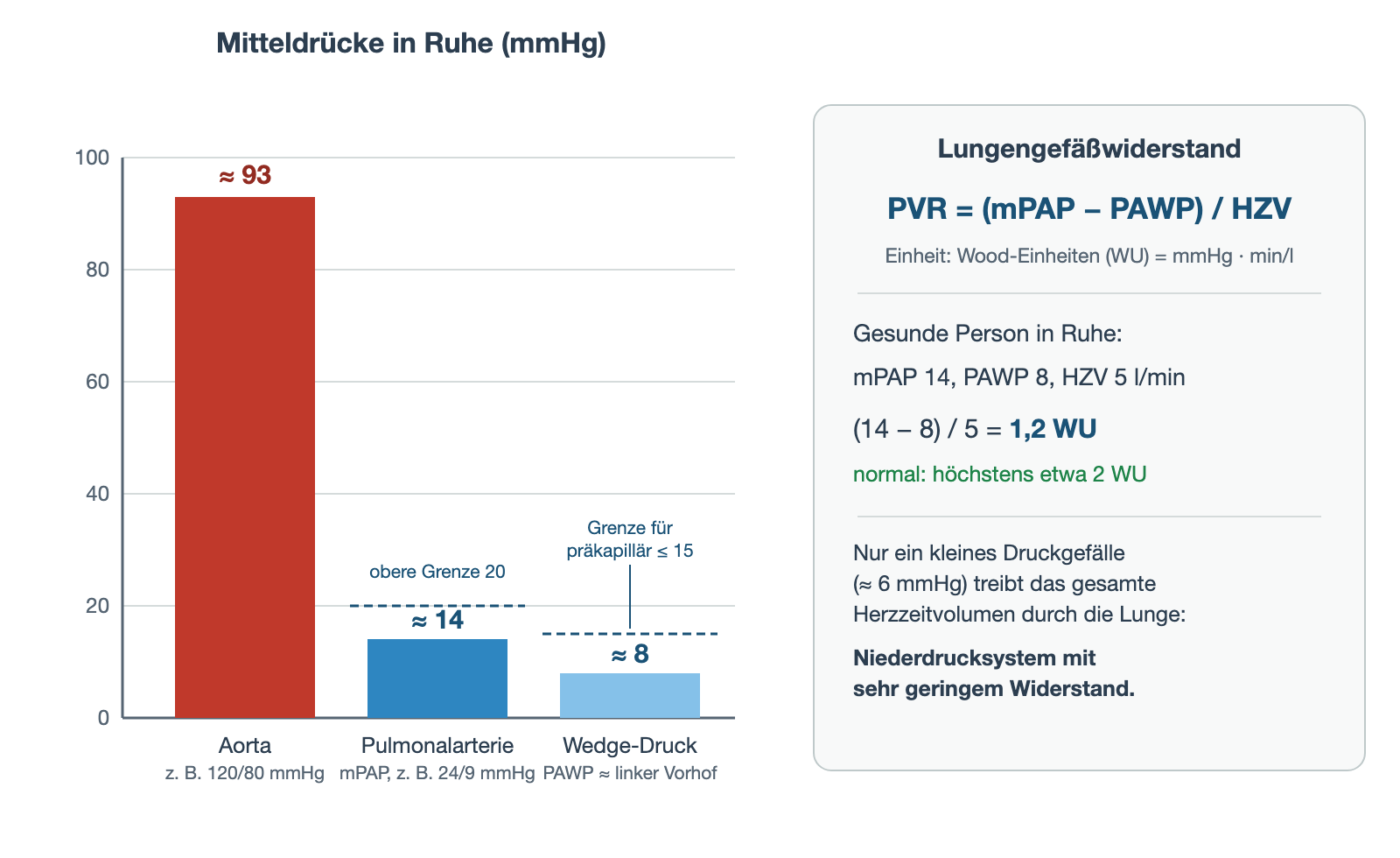 Balkendiagramm der Mitteldrücke: Aorta etwa 93 mmHg, Pulmonalarterie etwa 14 mmHg mit oberer Grenze 20 mmHg, Wedge-Druck etwa 8 mmHg mit Grenze 15 mmHg; daneben die Formel für den Lungengefäßwiderstand mit Beispielrechnung