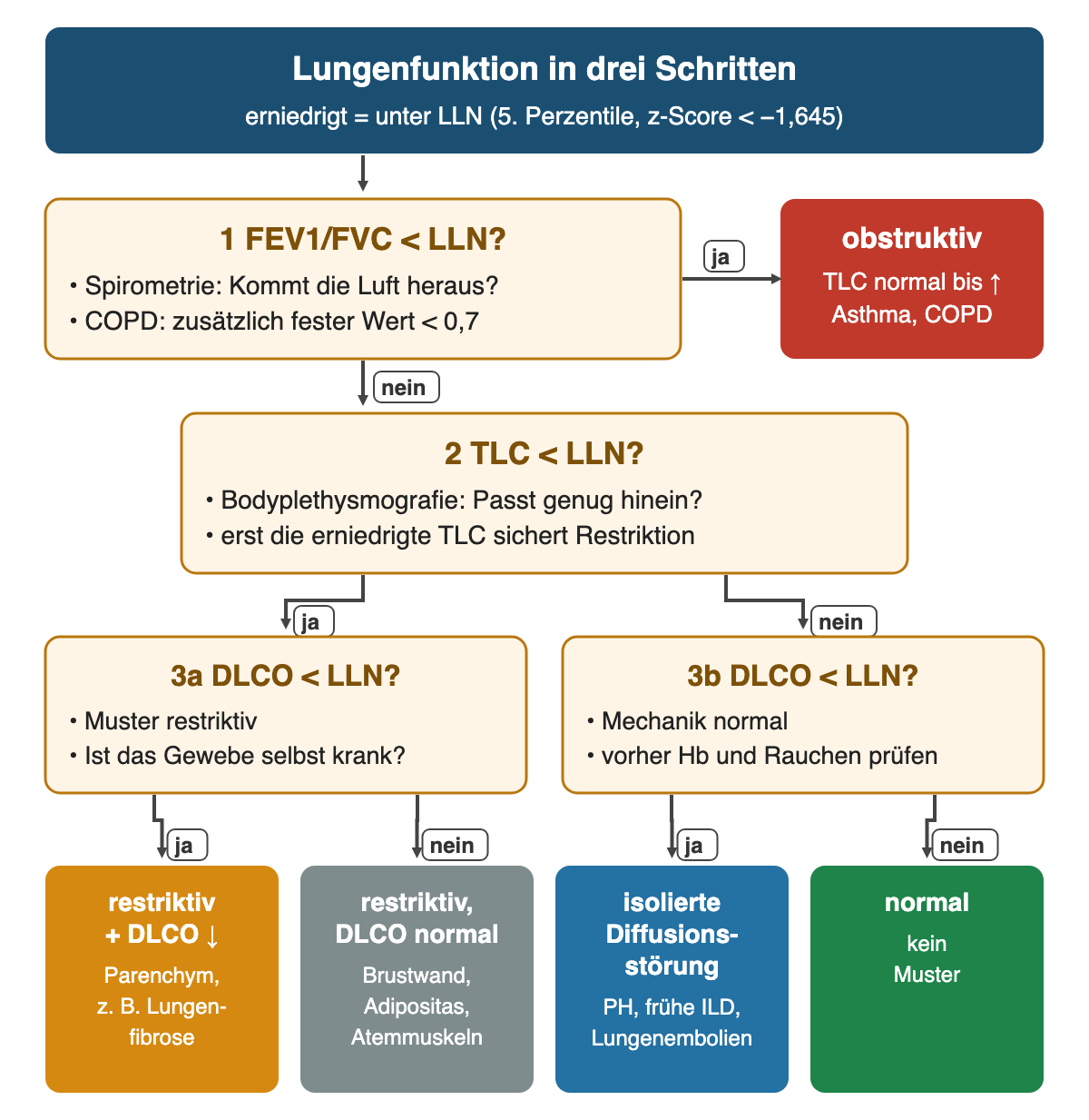 Entscheidungsbaum in drei Schritten: FEV1/FVC unter LLN führt zu obstruktiv; sonst TLC unter LLN; danach jeweils DLCO unter LLN; vier farbige Ergebnisse restriktiv mit erniedrigter DLCO, restriktiv mit normaler DLCO, isolierte Diffusionsstörung und normal